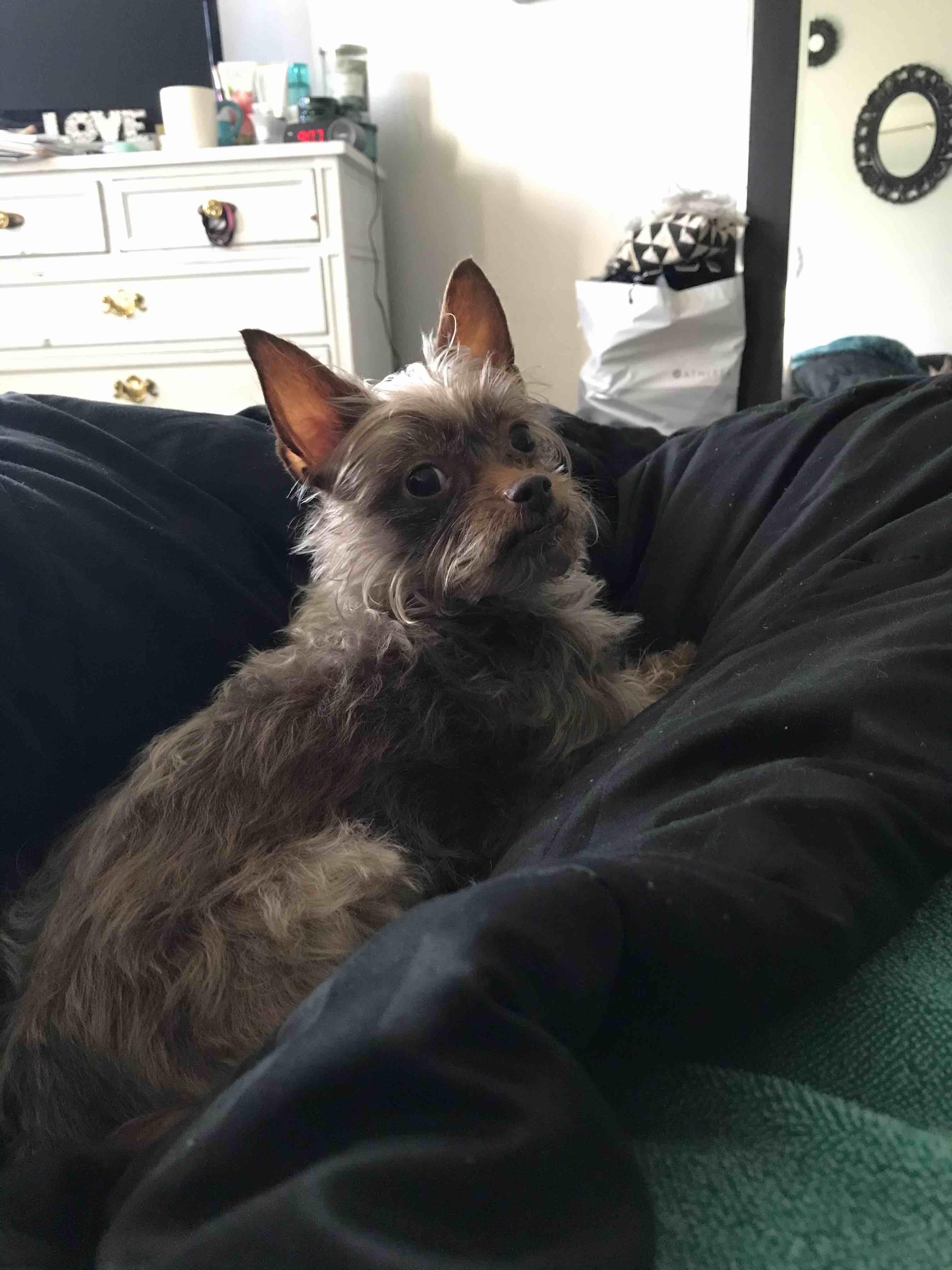 Question details sensitive content