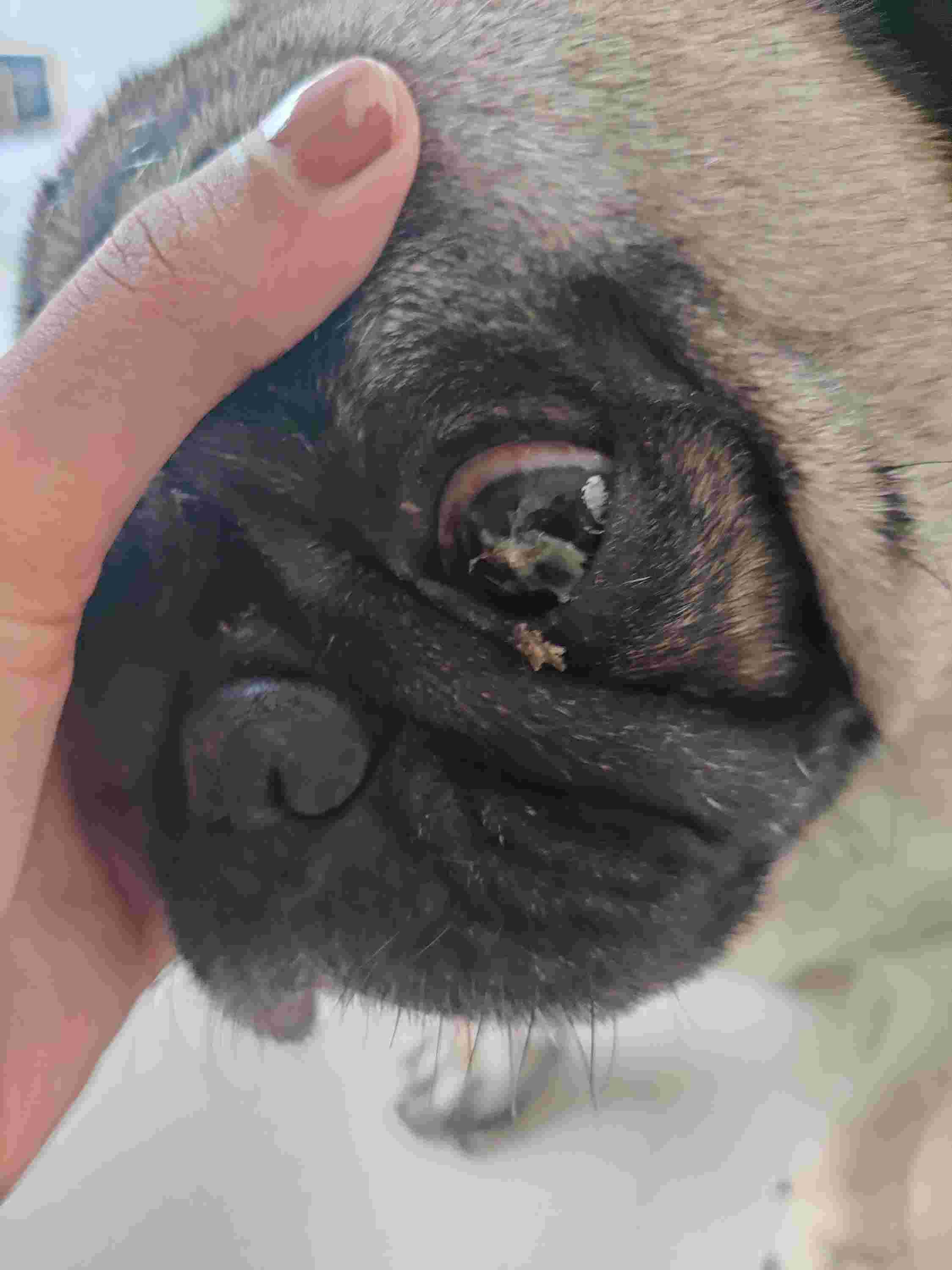 Question details sensitive content