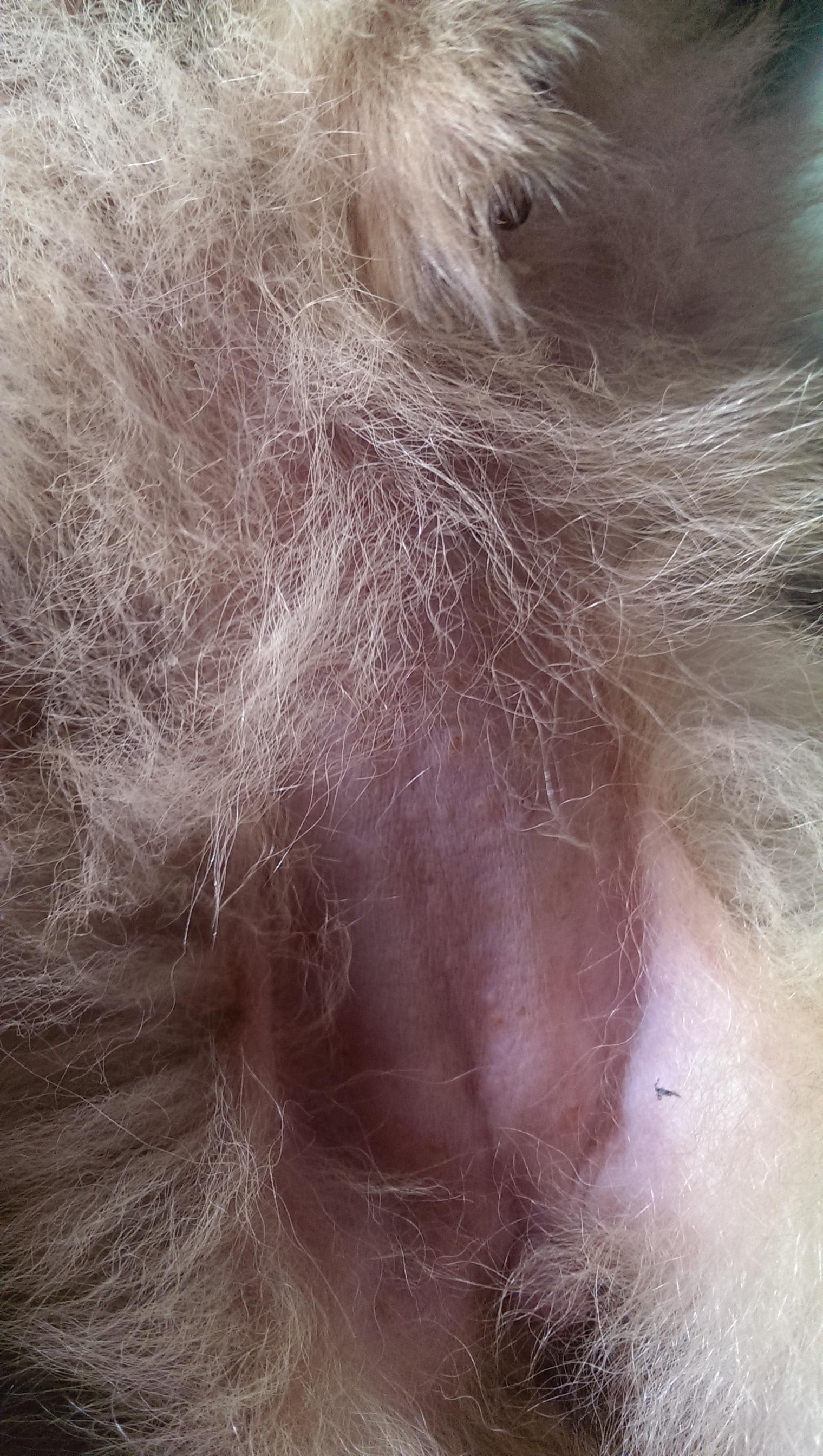 Question details sensitive content