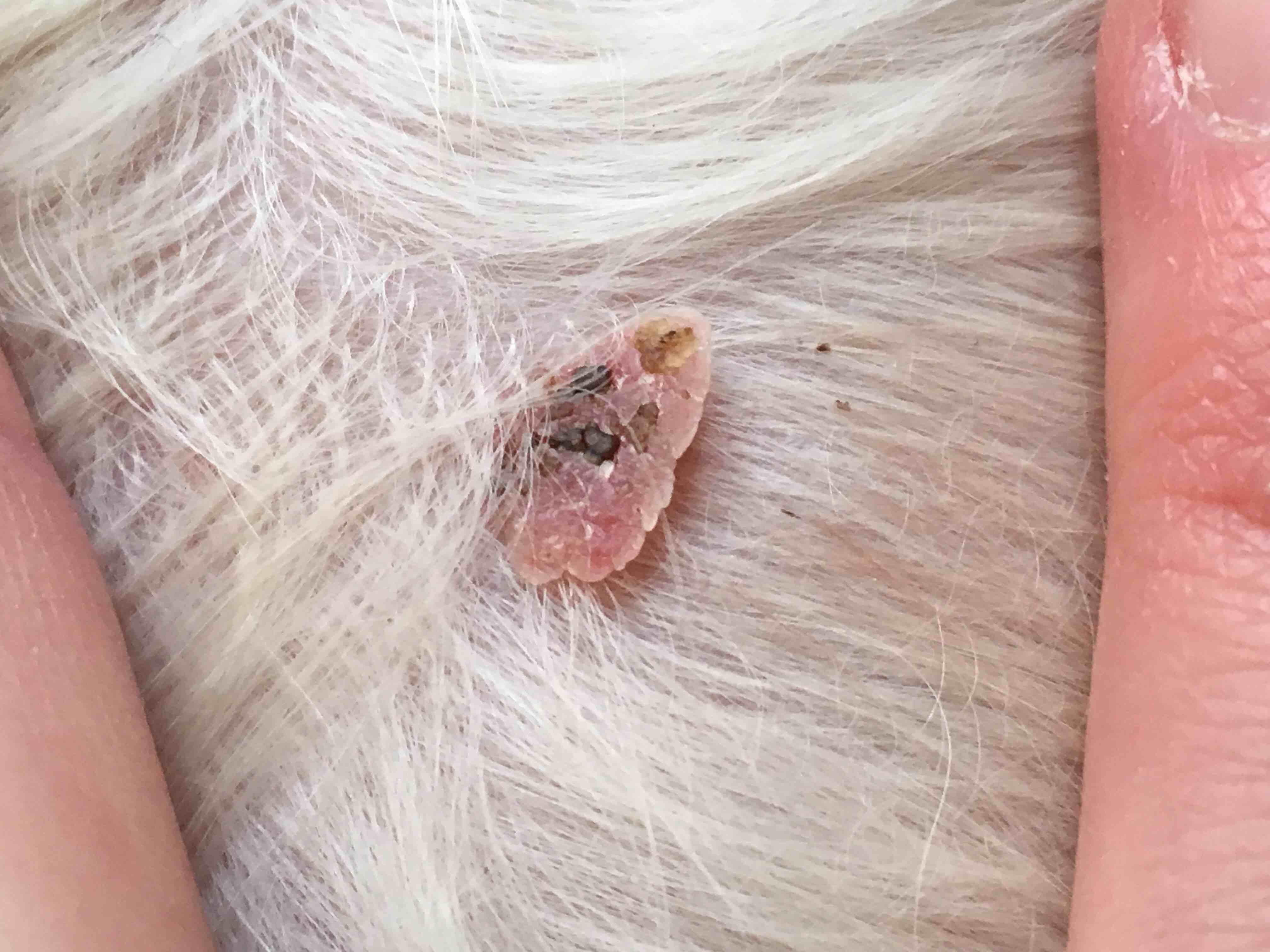 Question details sensitive content