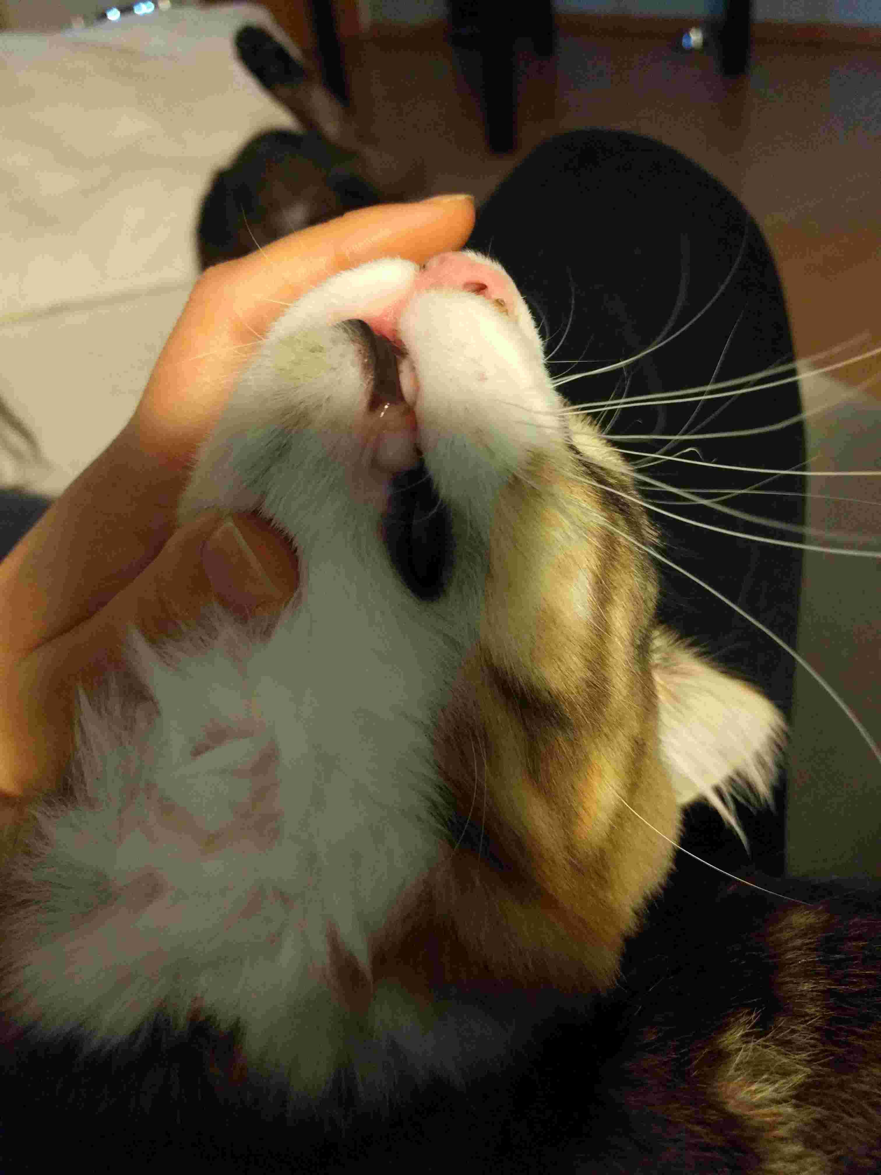 Question details sensitive content