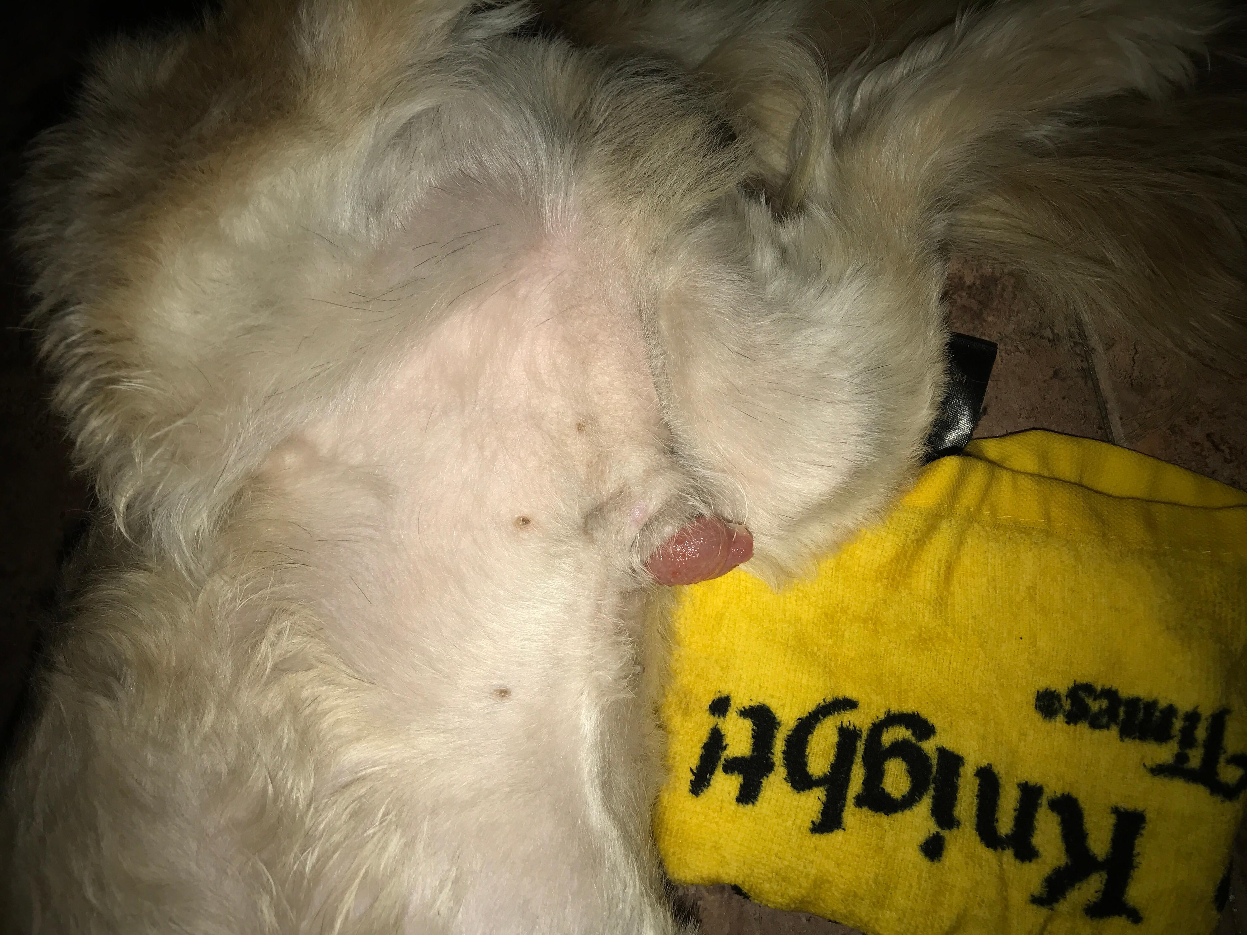 Question details sensitive content