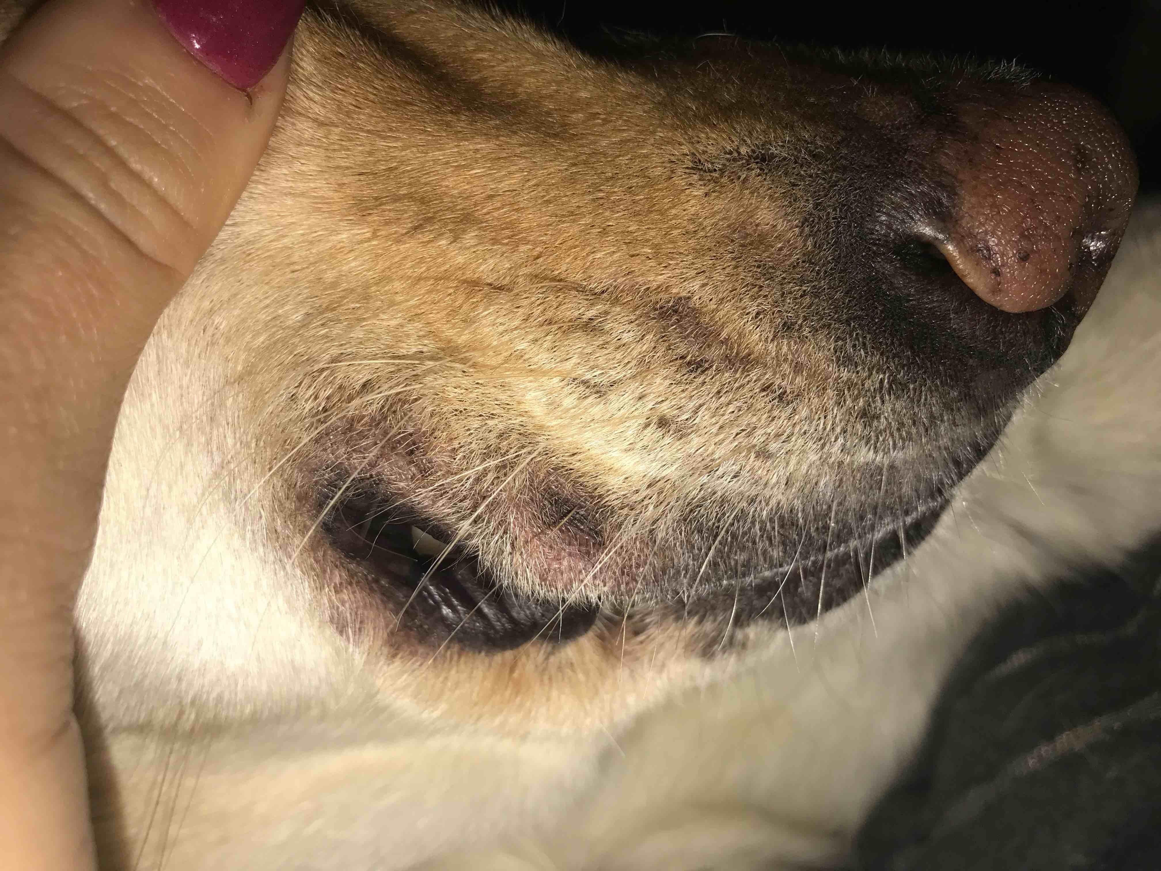 Question details sensitive content