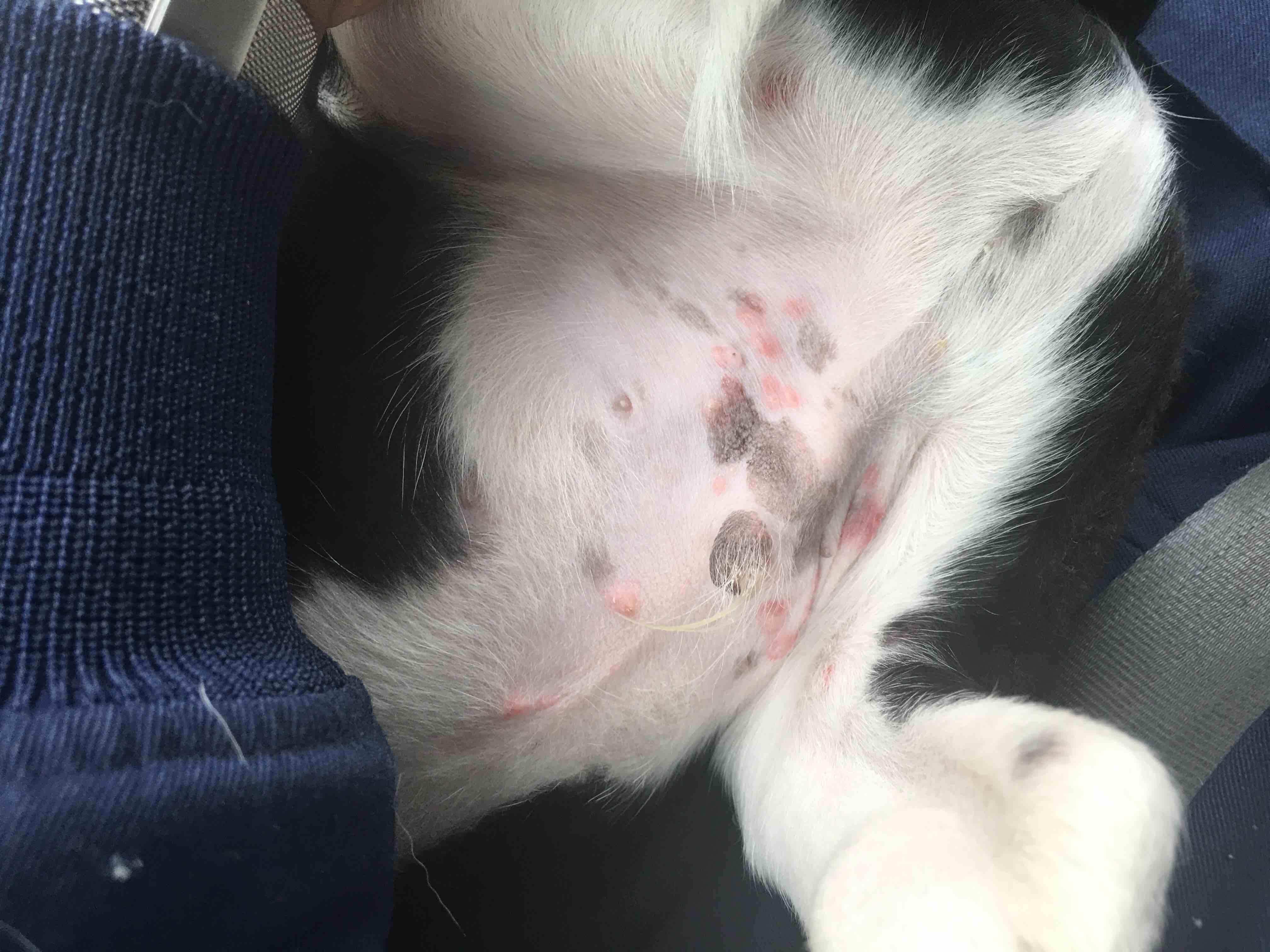 Question details sensitive content