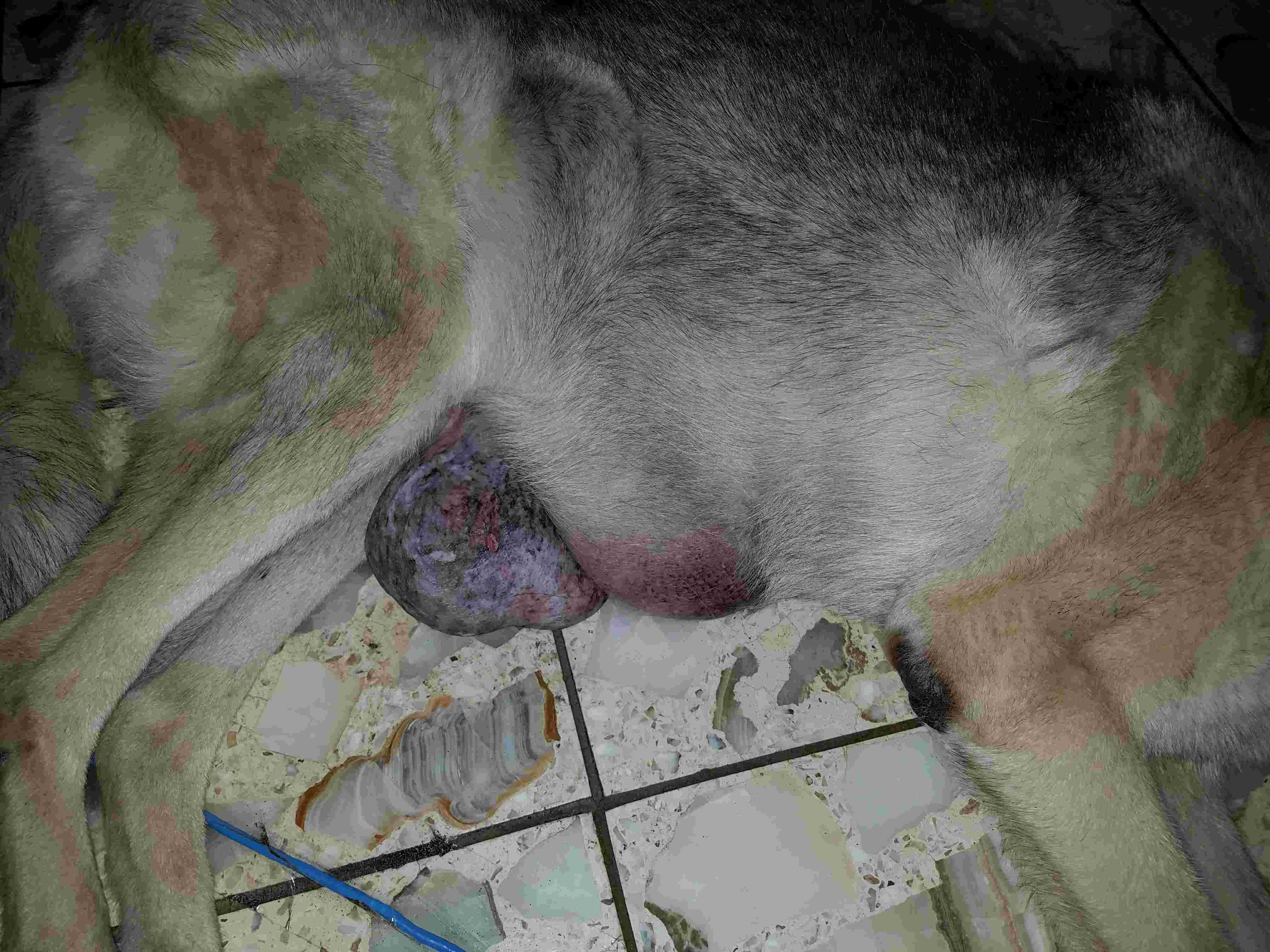 Question details sensitive content