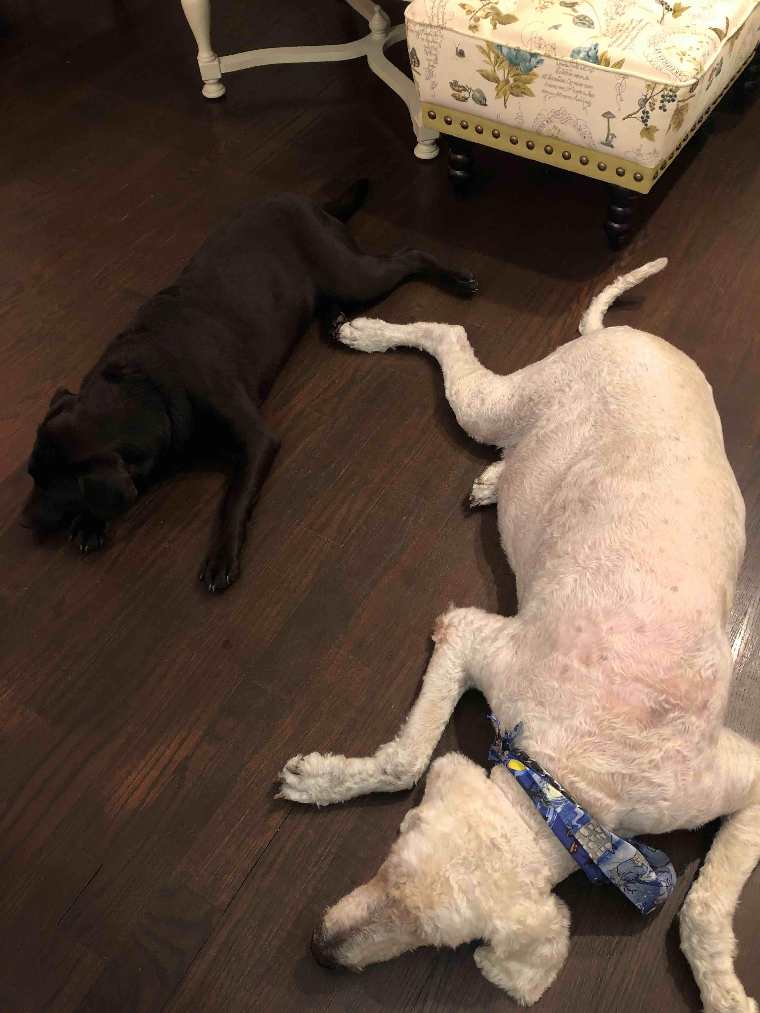 Question details sensitive content