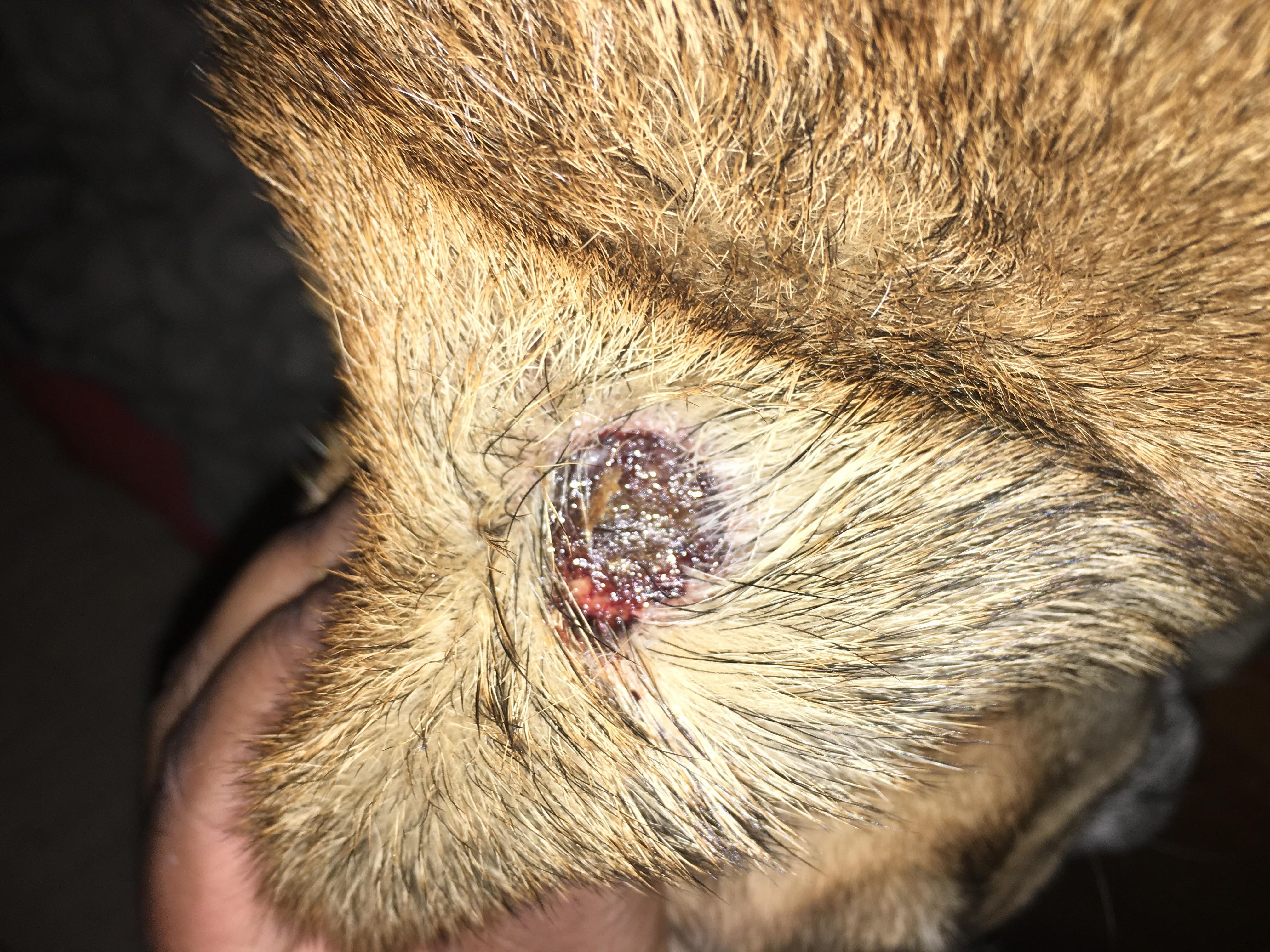 Question details sensitive content