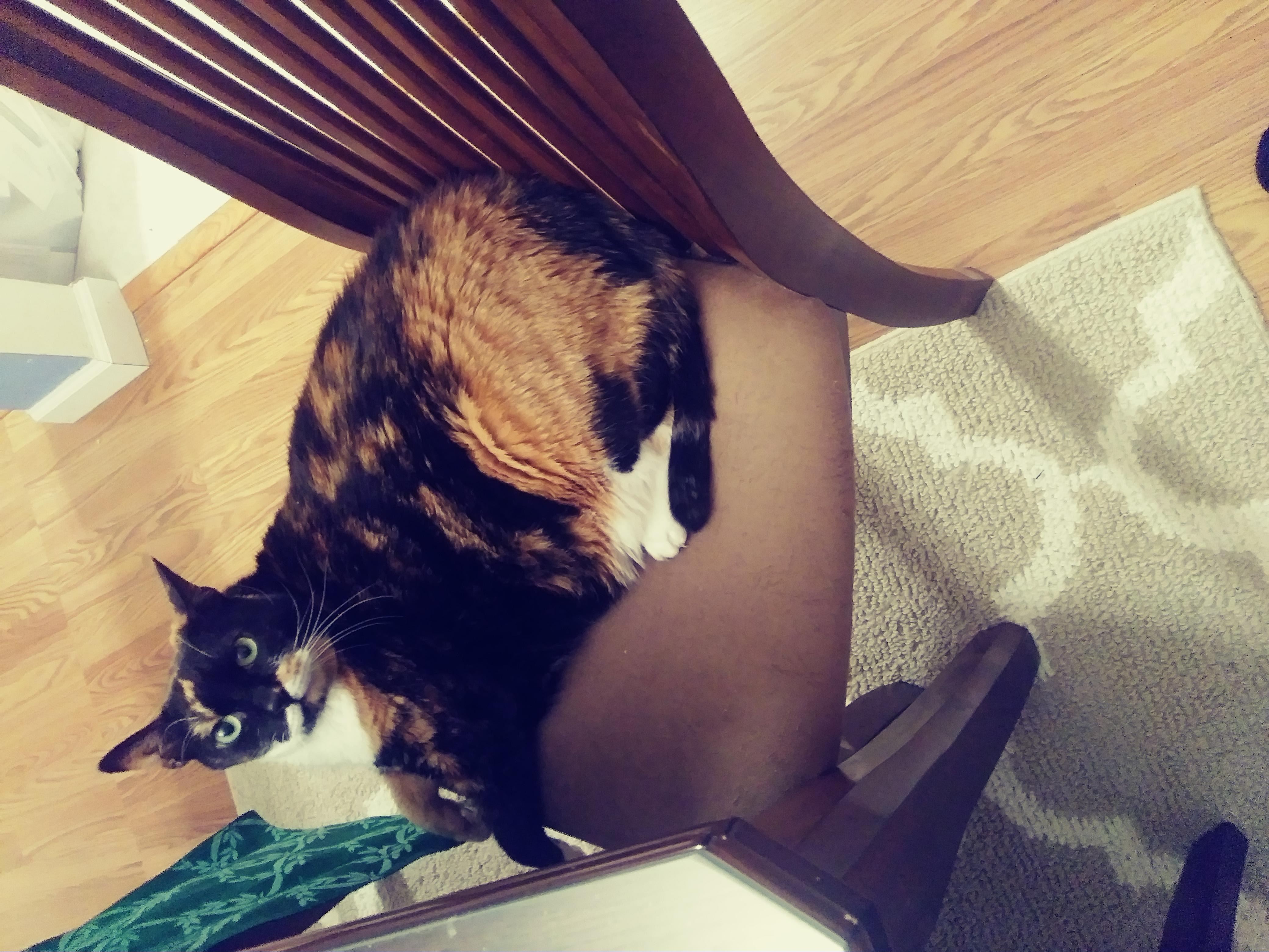 Question details sensitive content