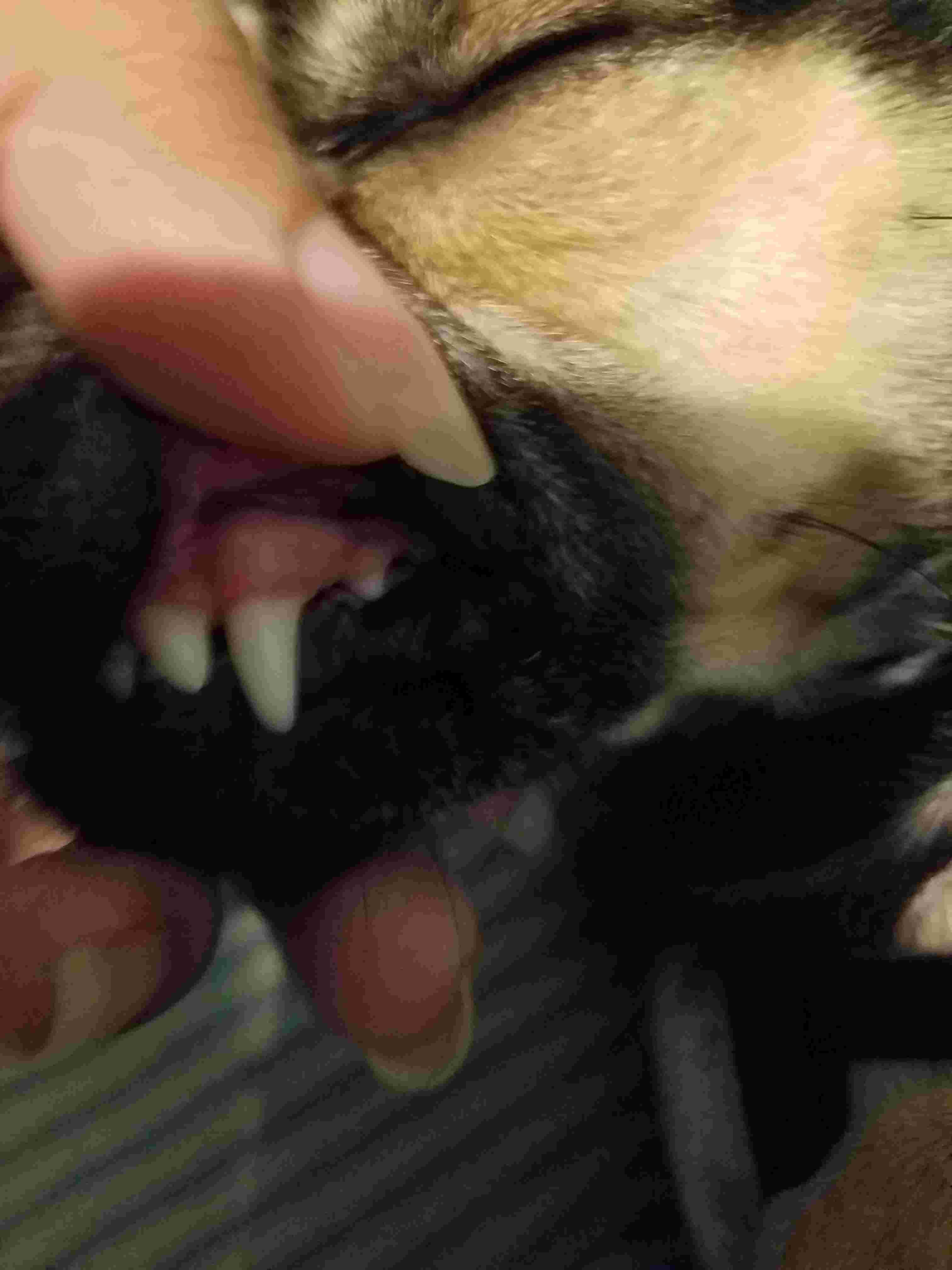 Question details sensitive content