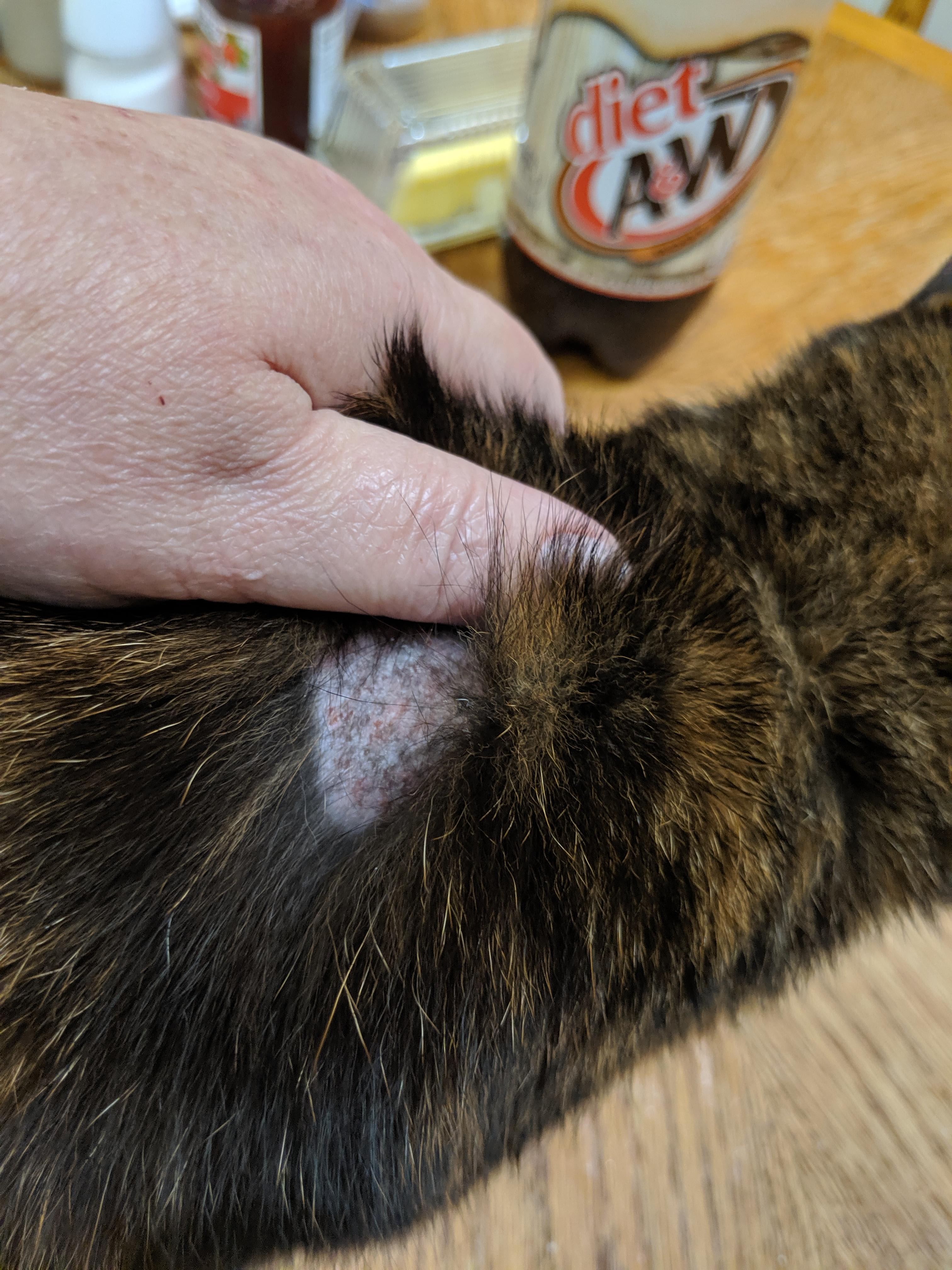 Question details sensitive content