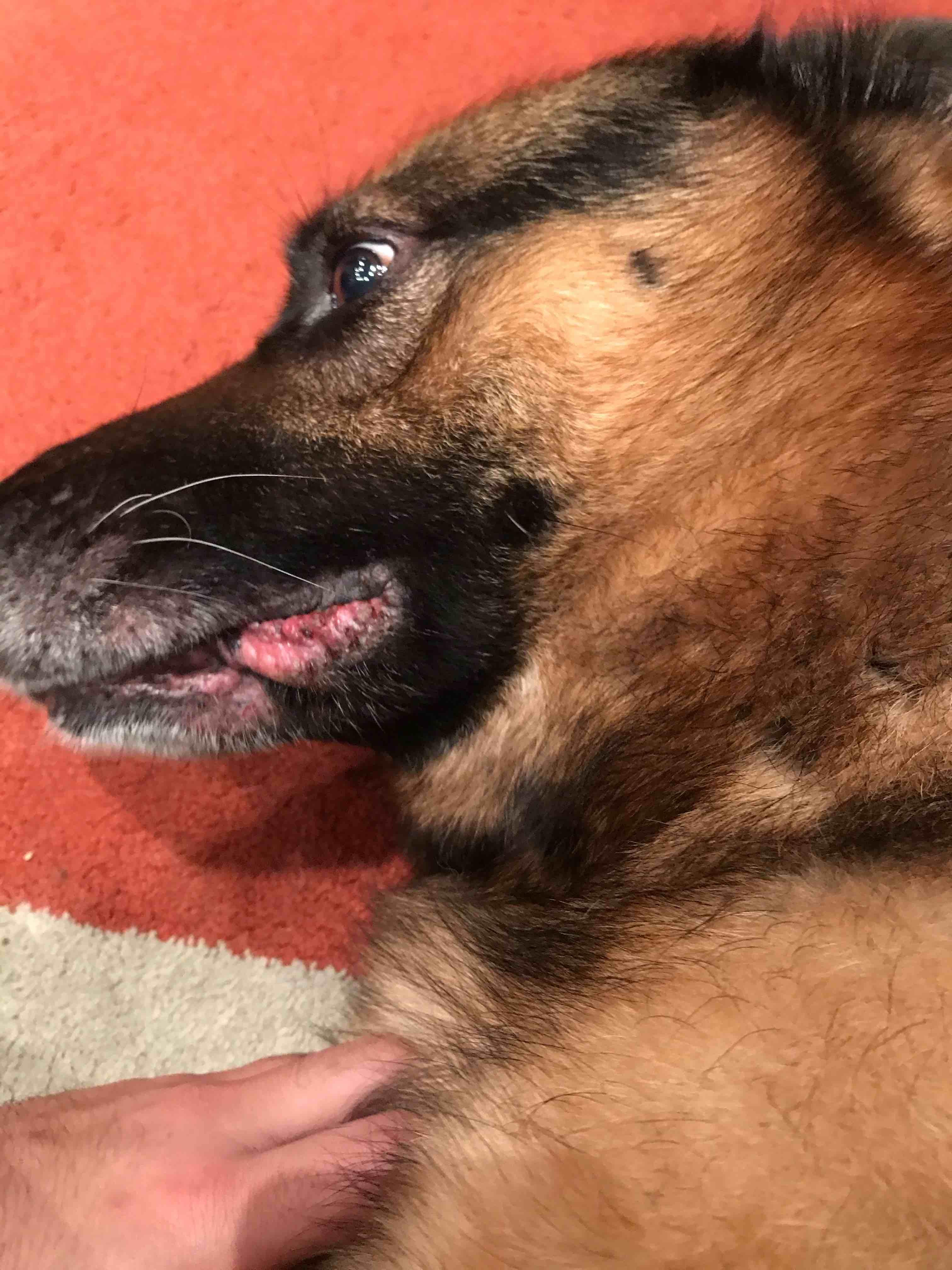 Question details sensitive content