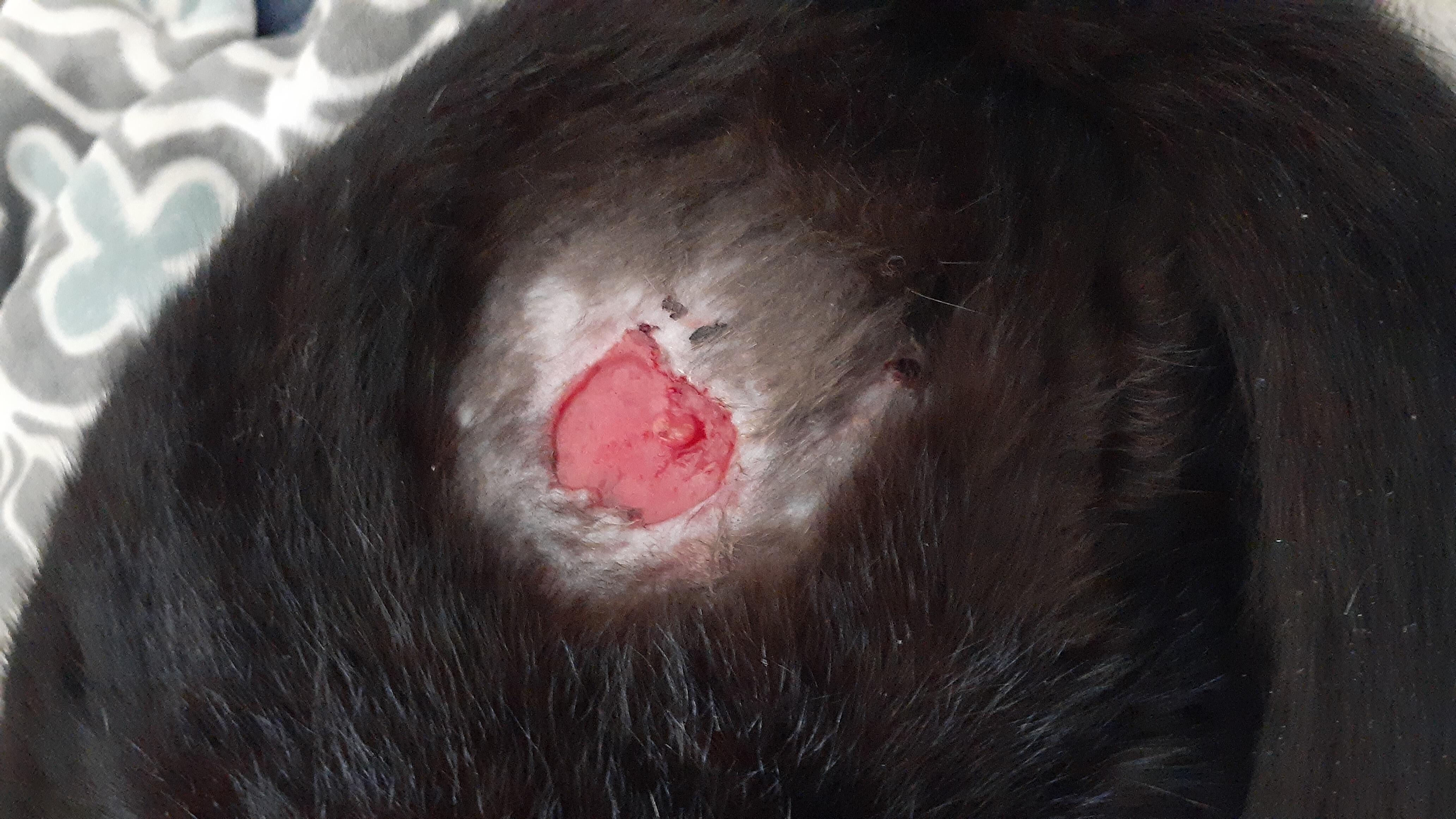 Question details sensitive content