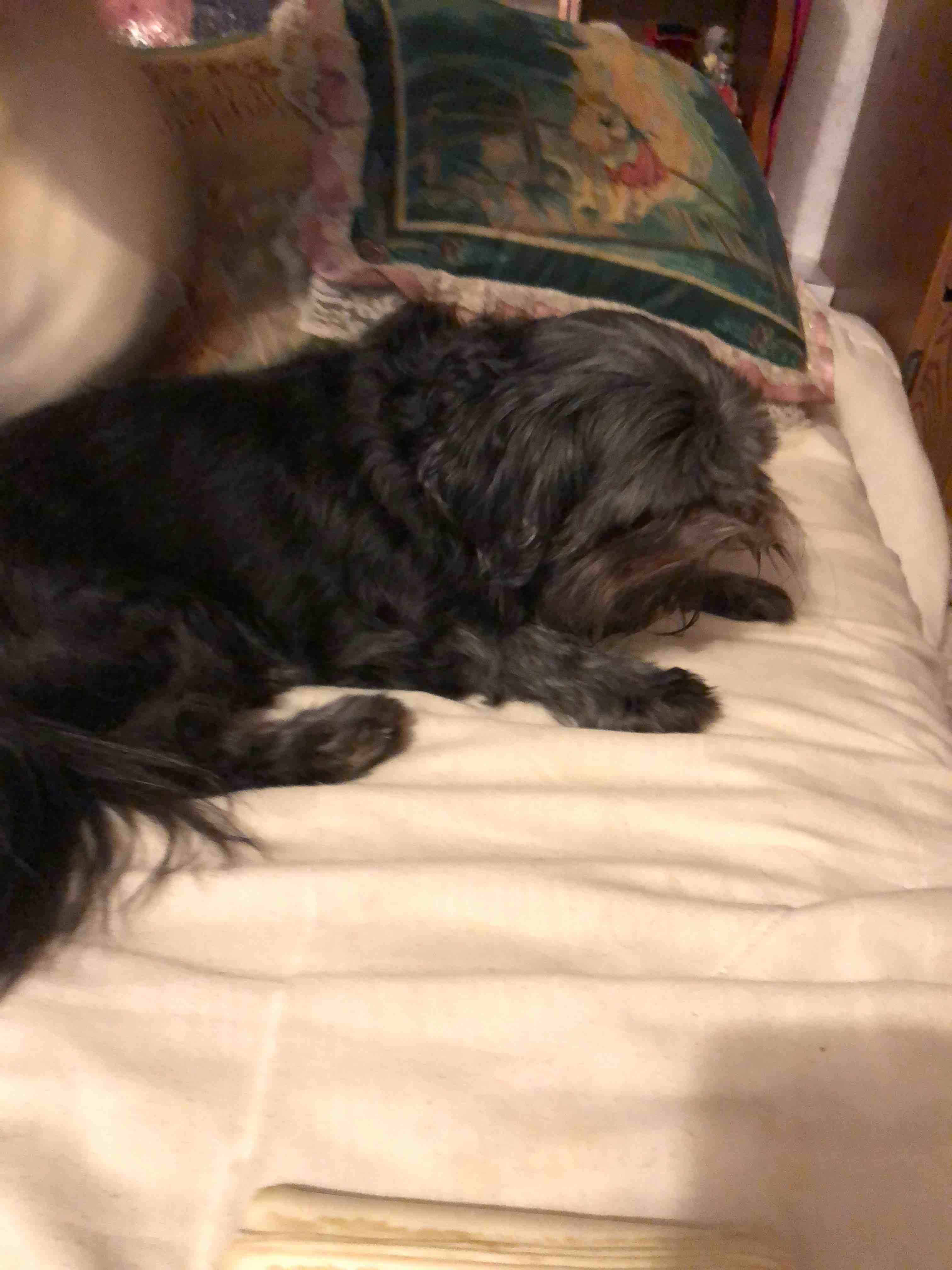 Question details sensitive content