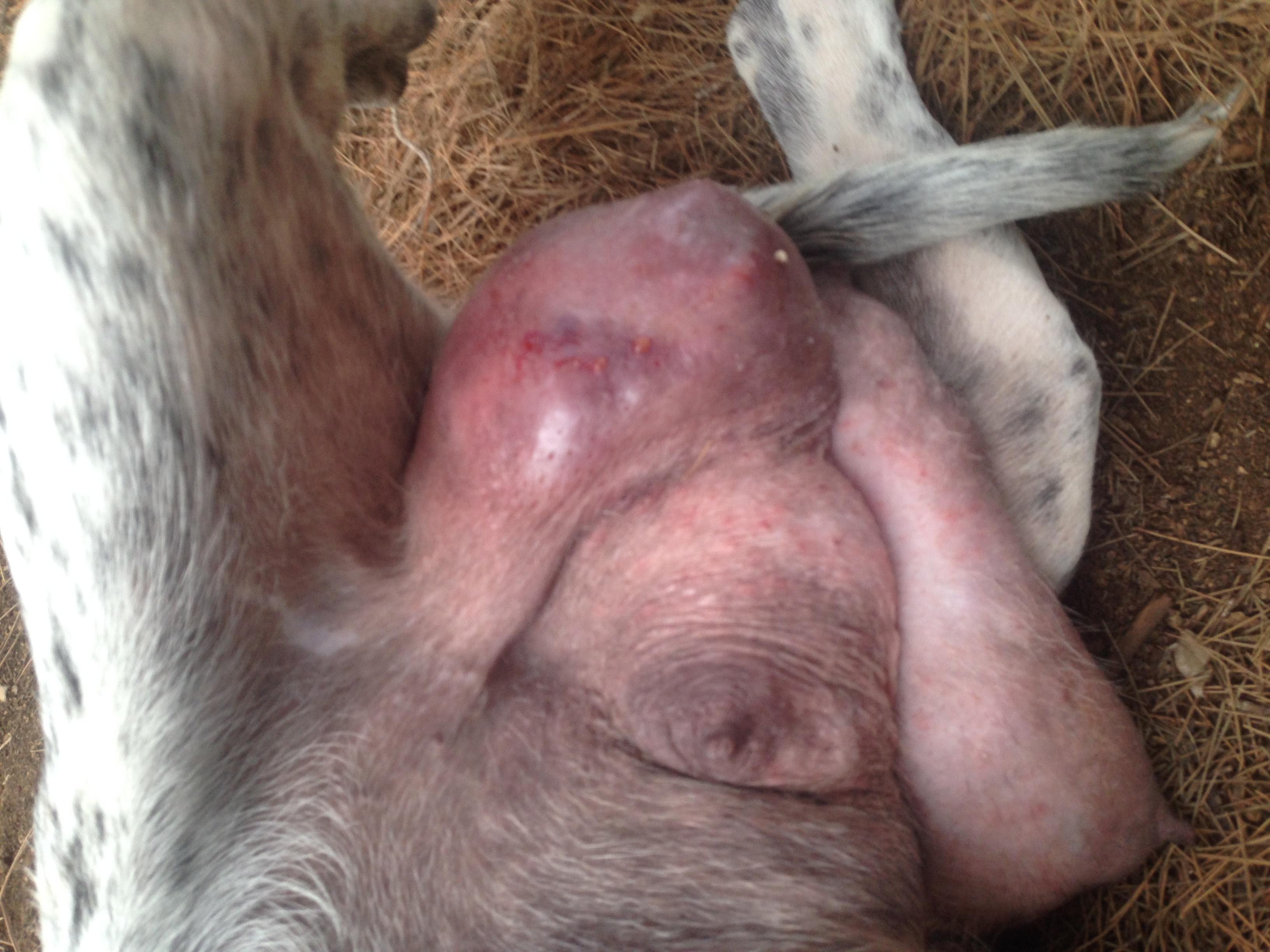 Question details sensitive content