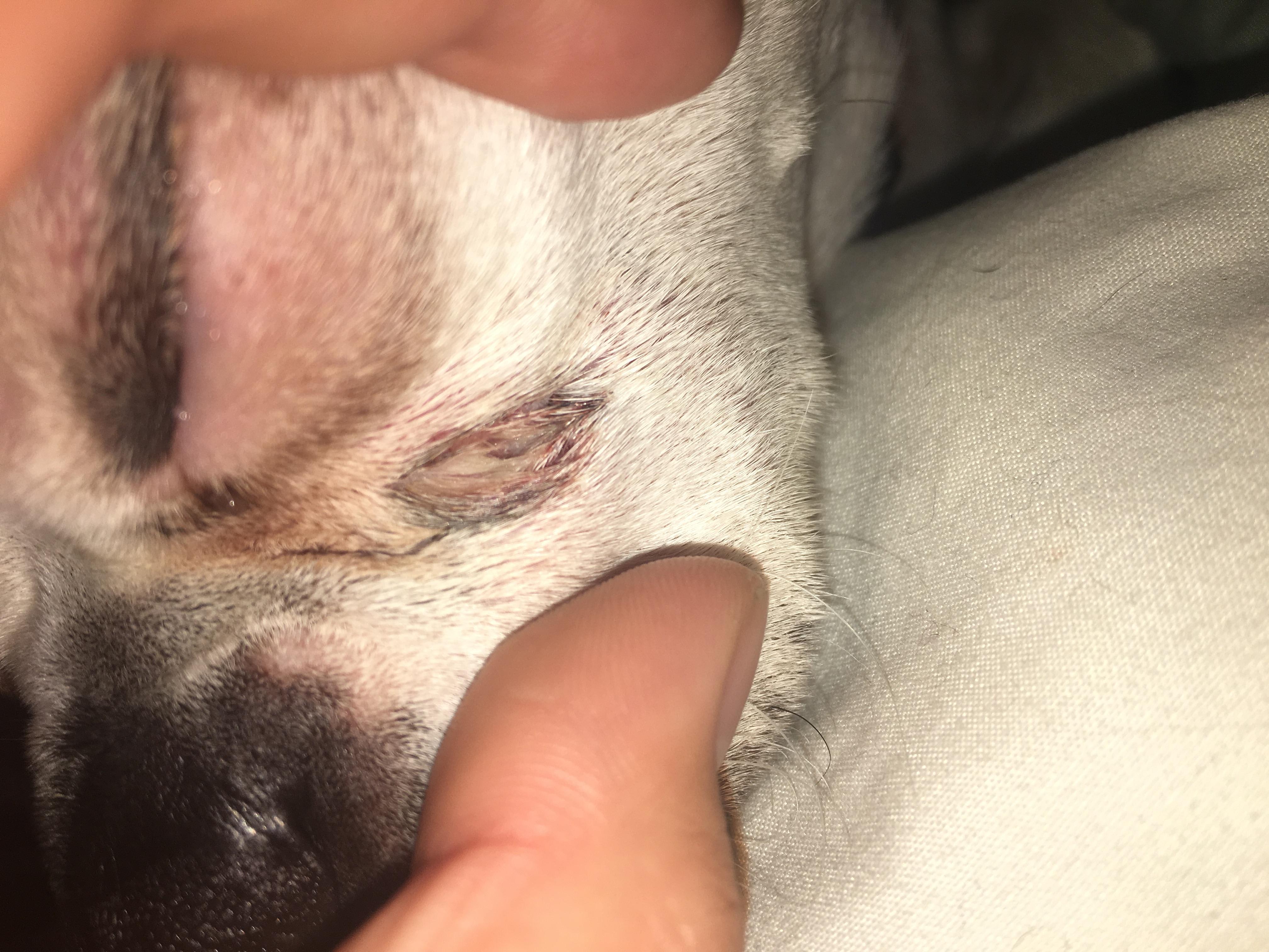 Question details sensitive content