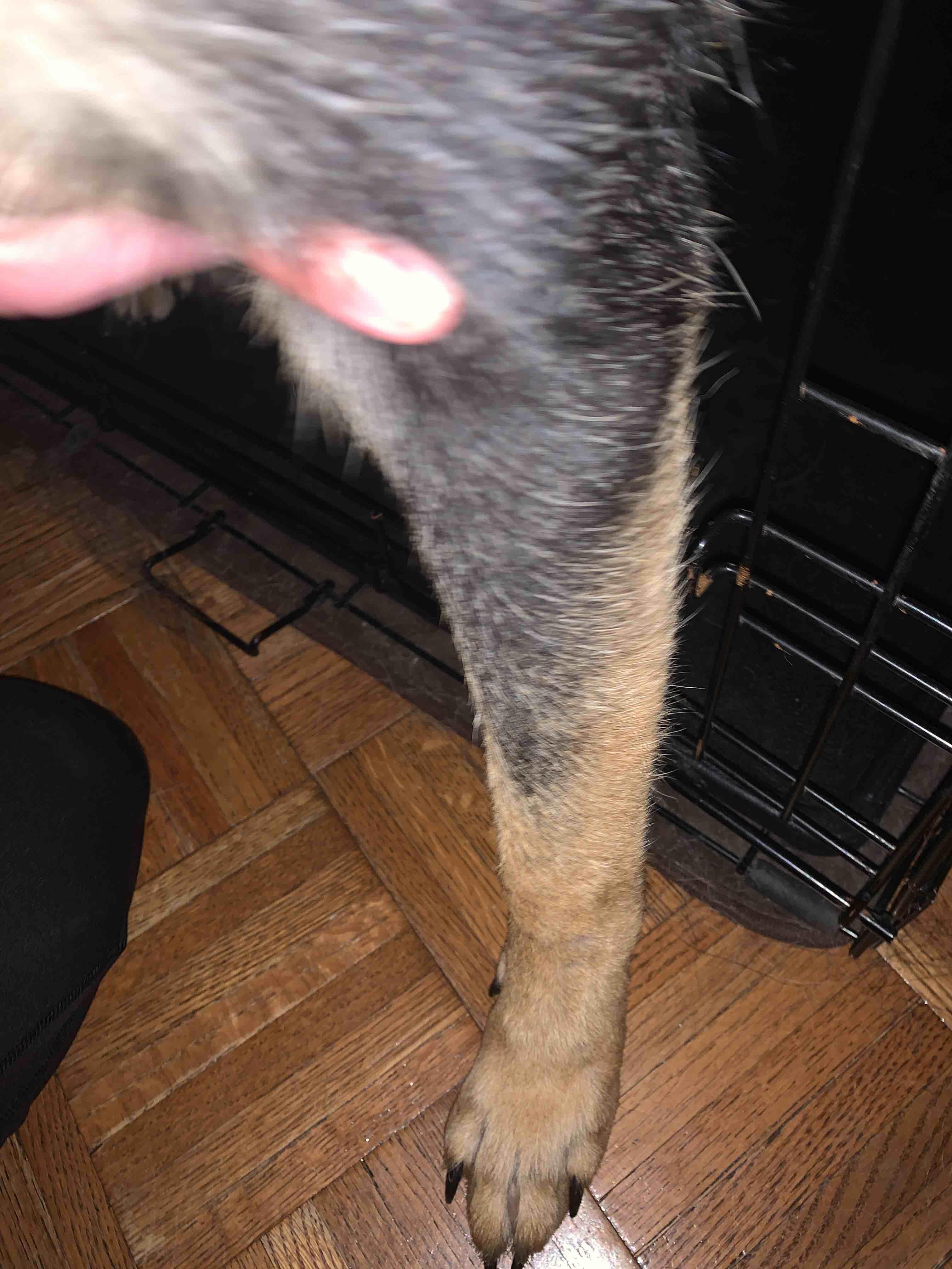 Question details sensitive content