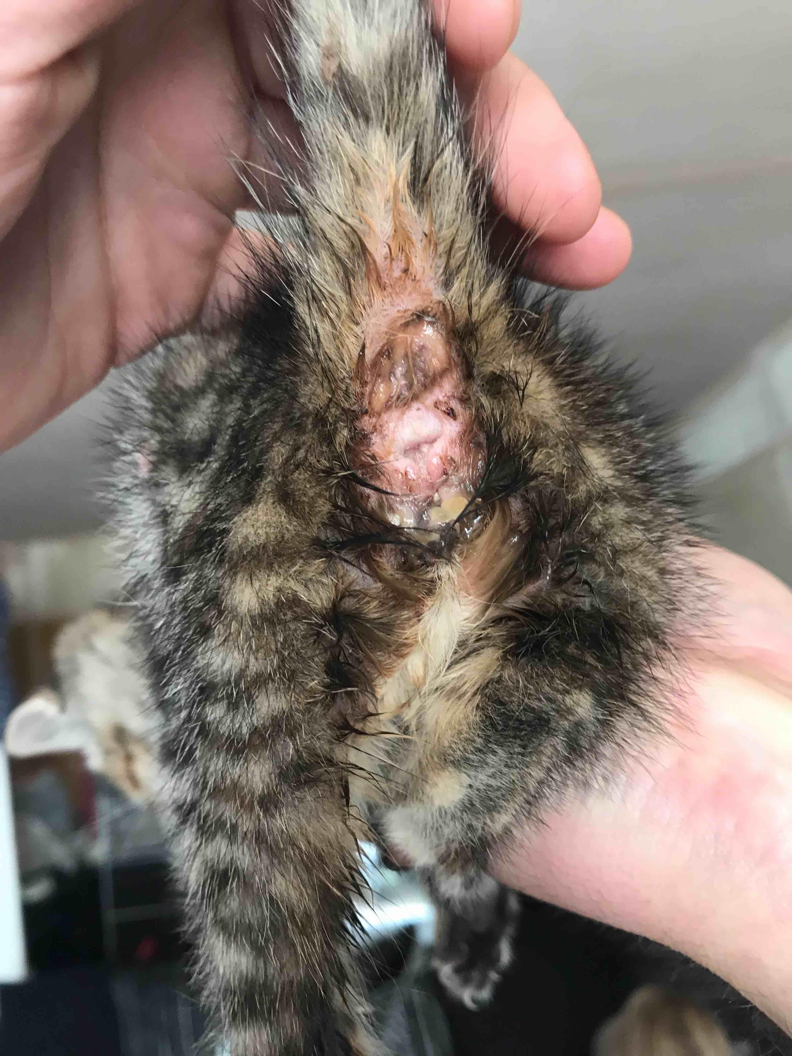 Question details sensitive content