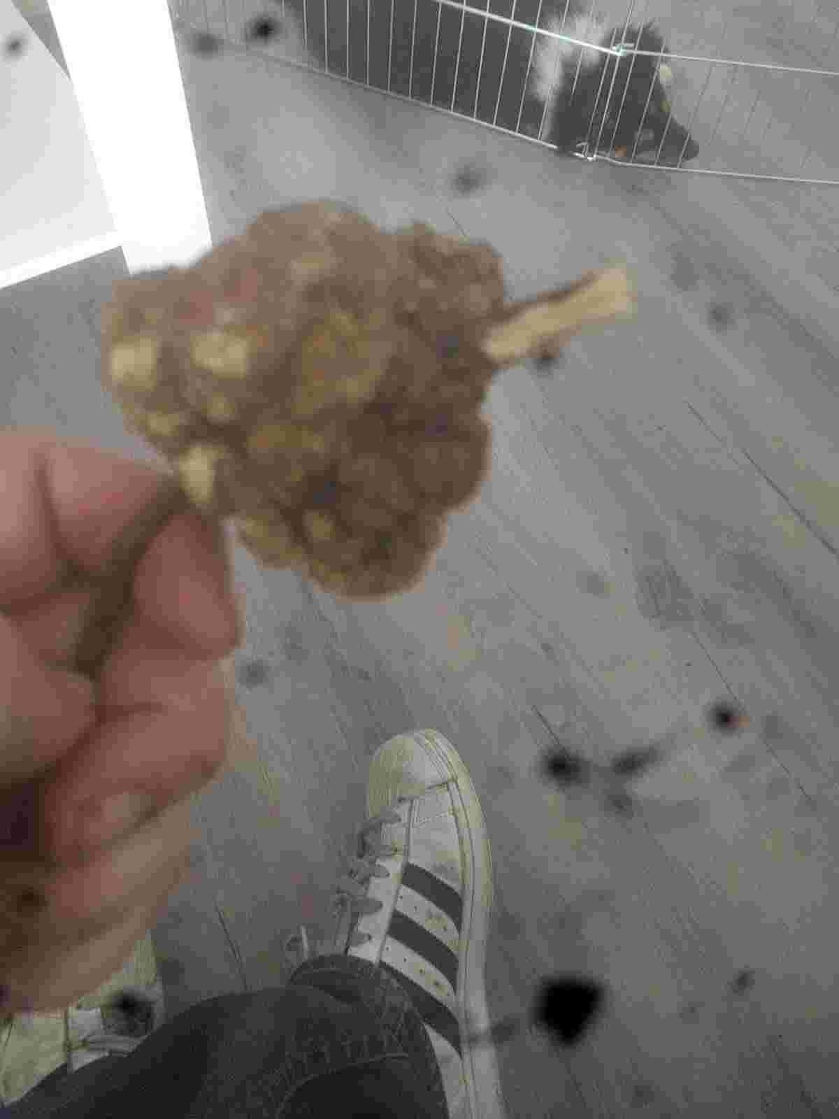 Question details sensitive content