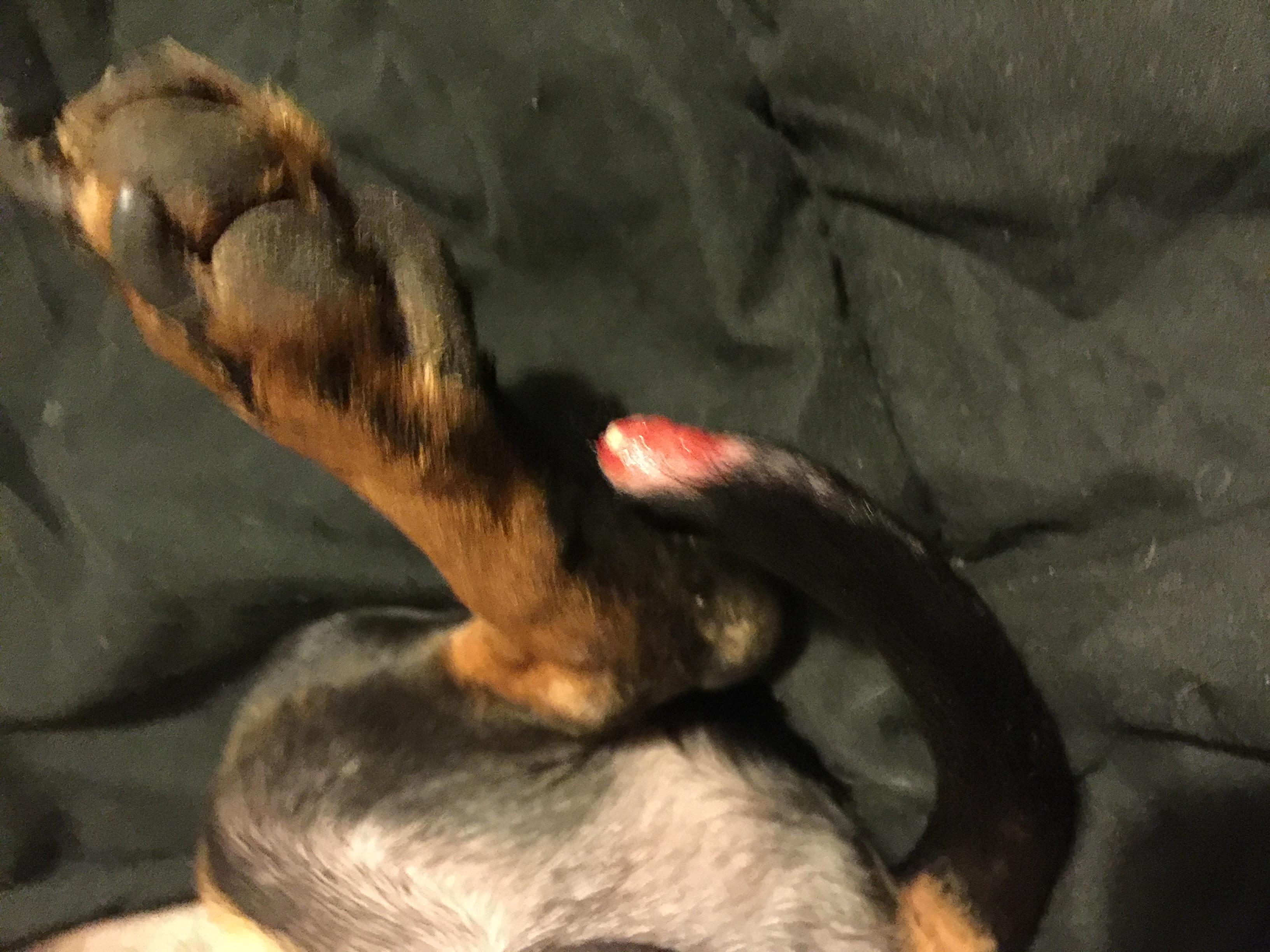 Question details sensitive content