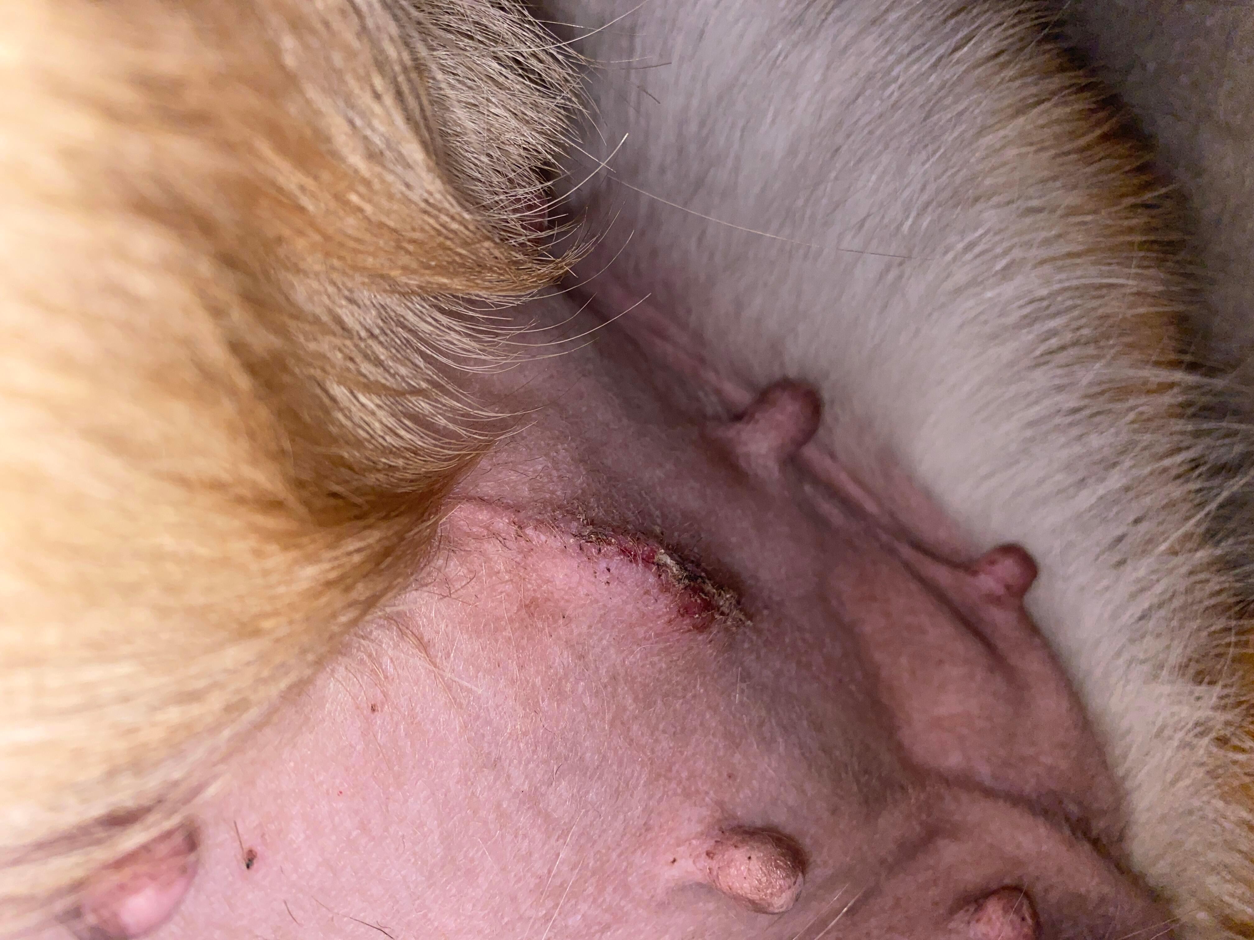 Question details sensitive content