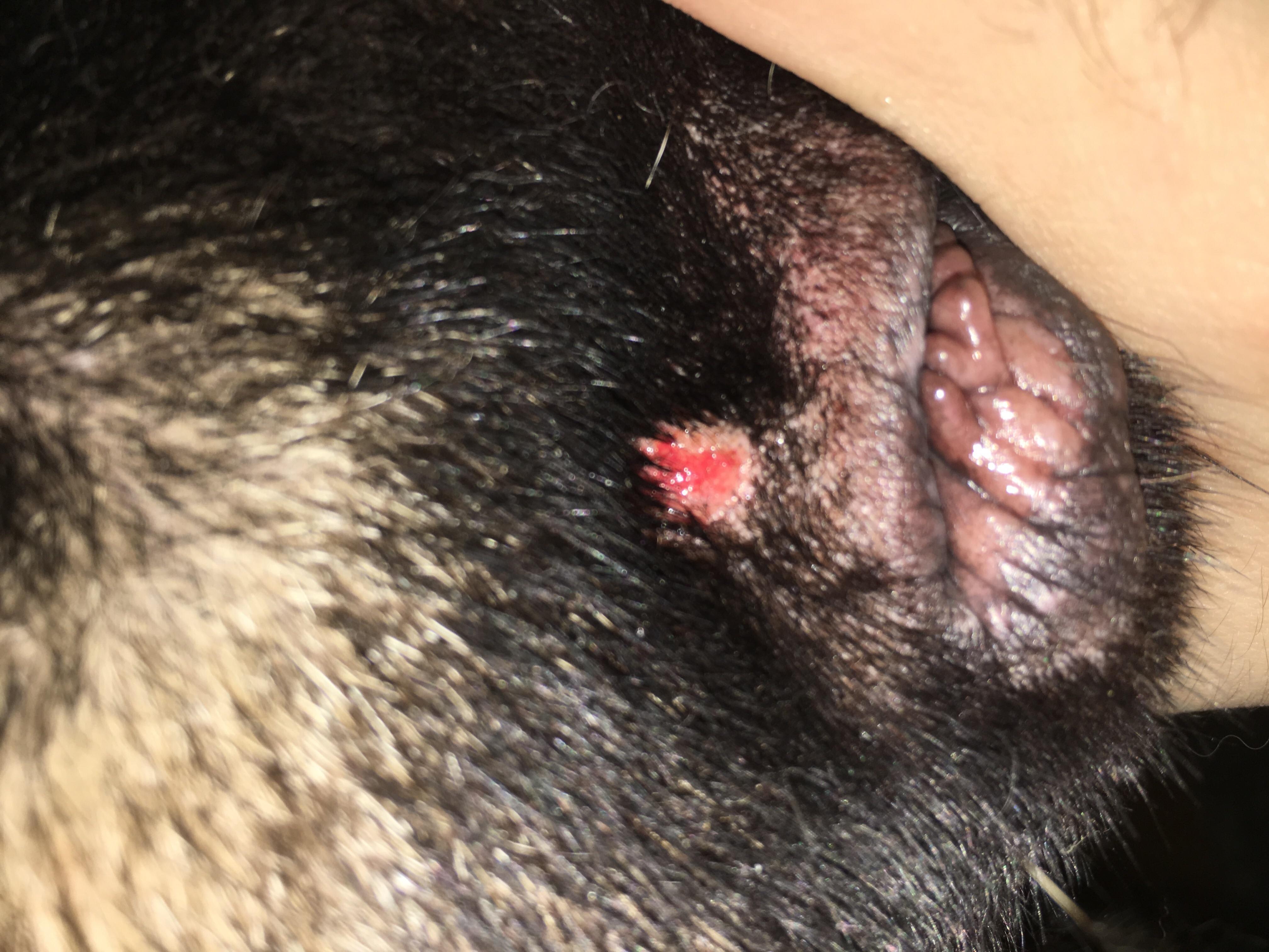 Question details sensitive content