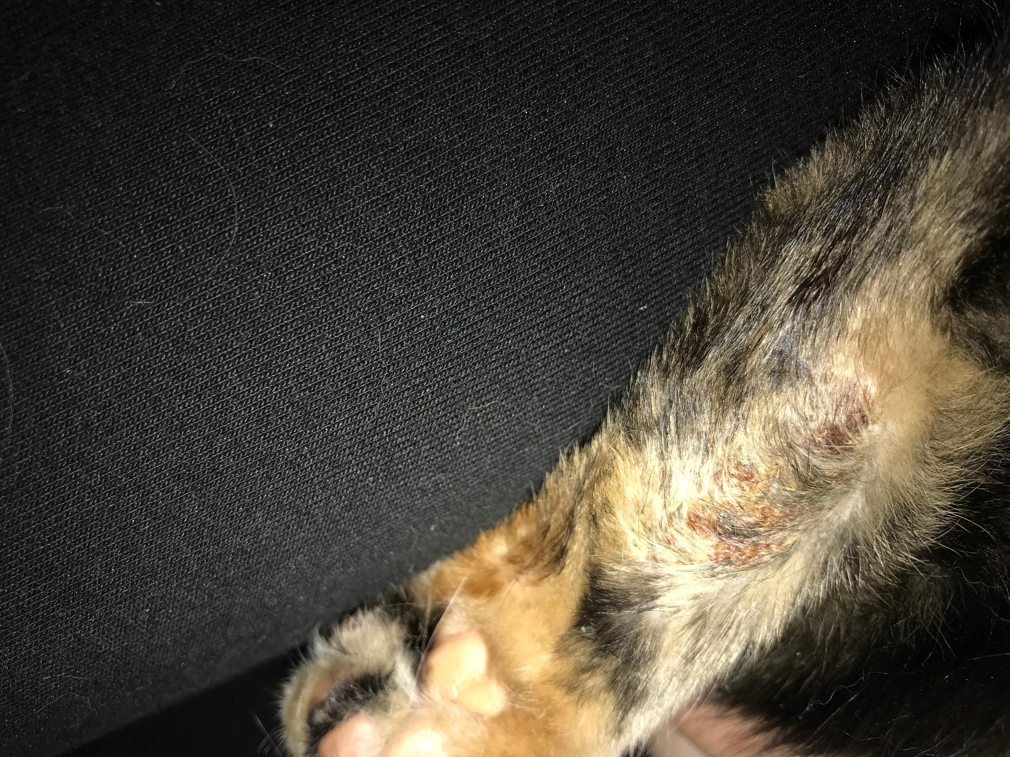 Question details sensitive content