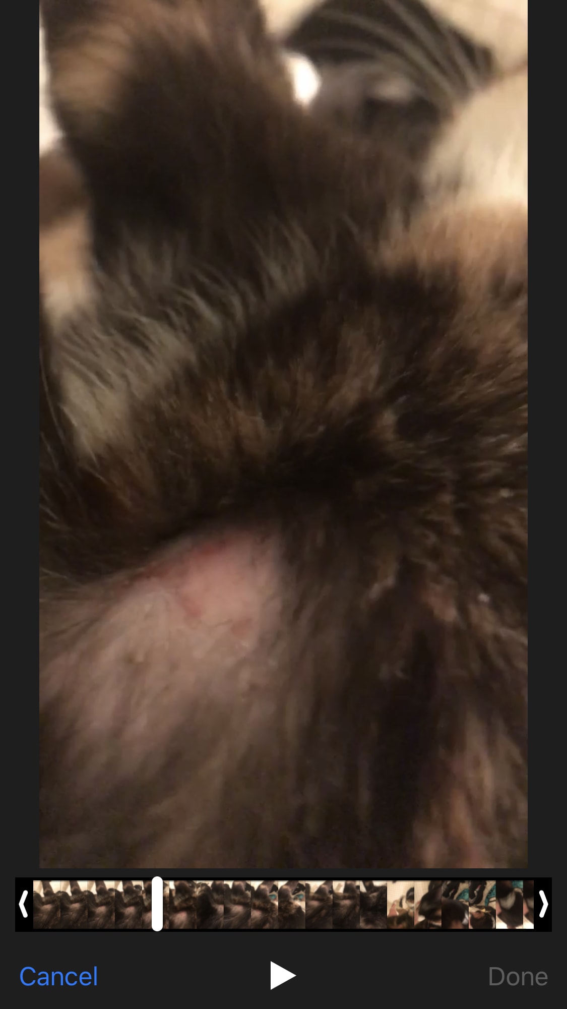 Question details sensitive content