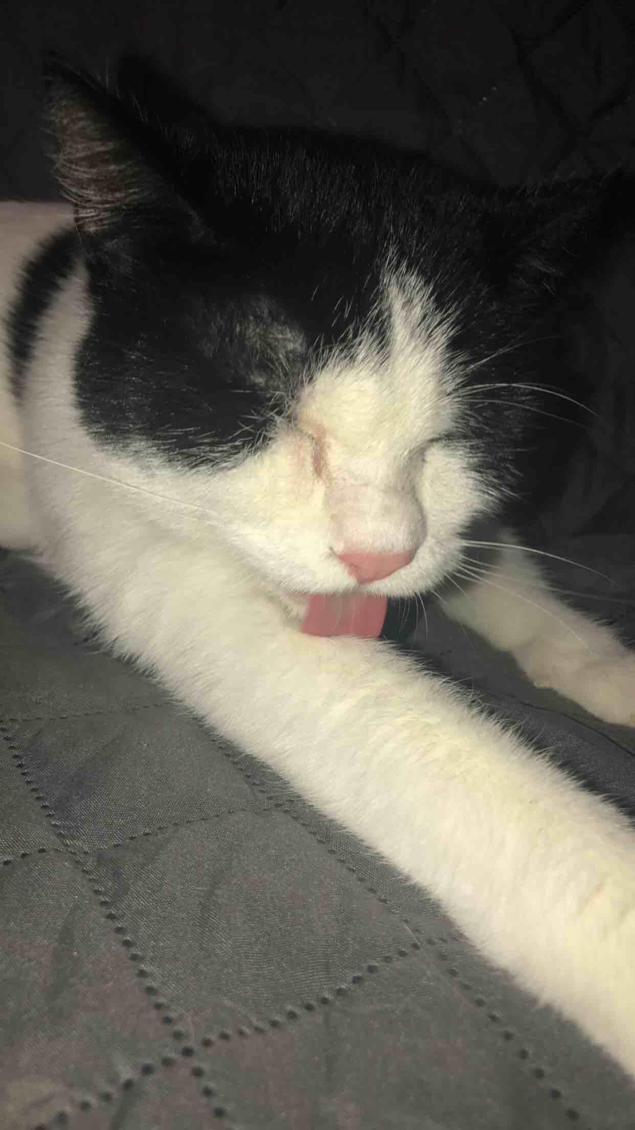 Question details sensitive content