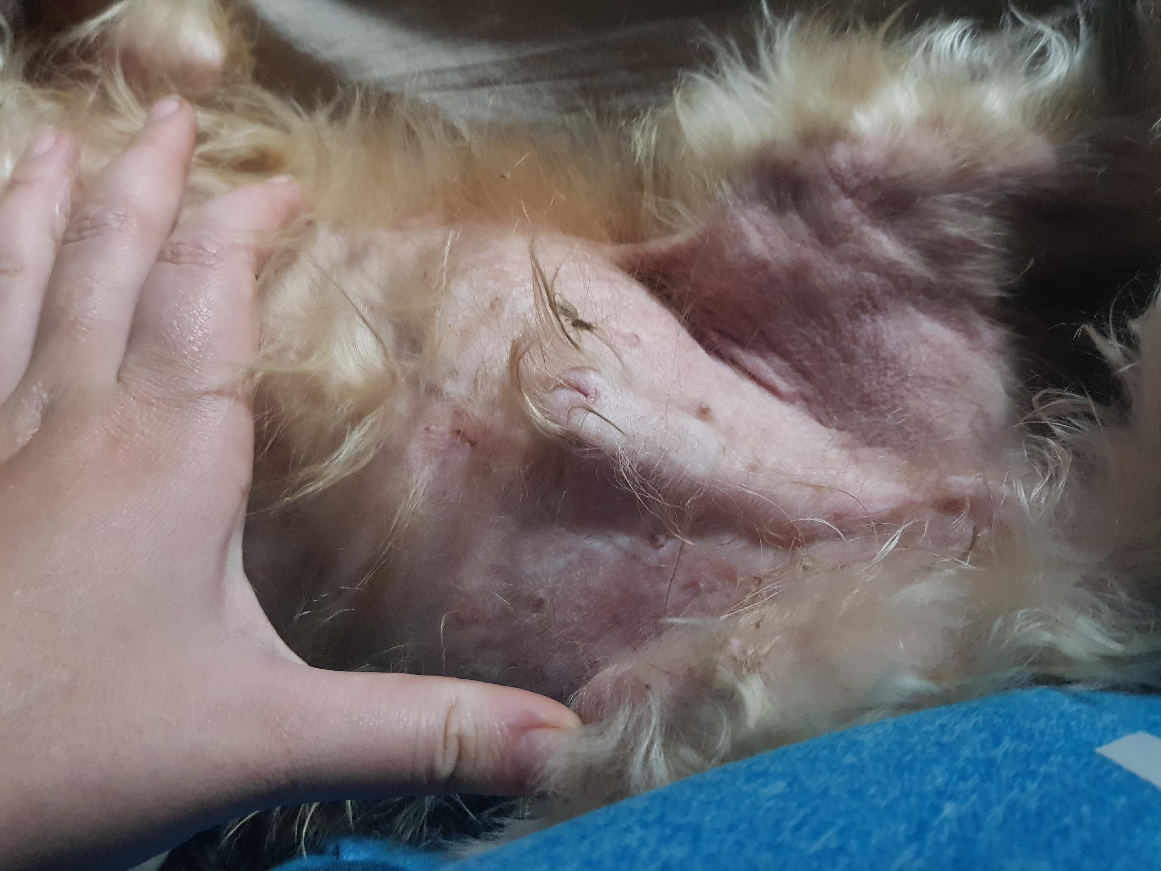 Question details sensitive content