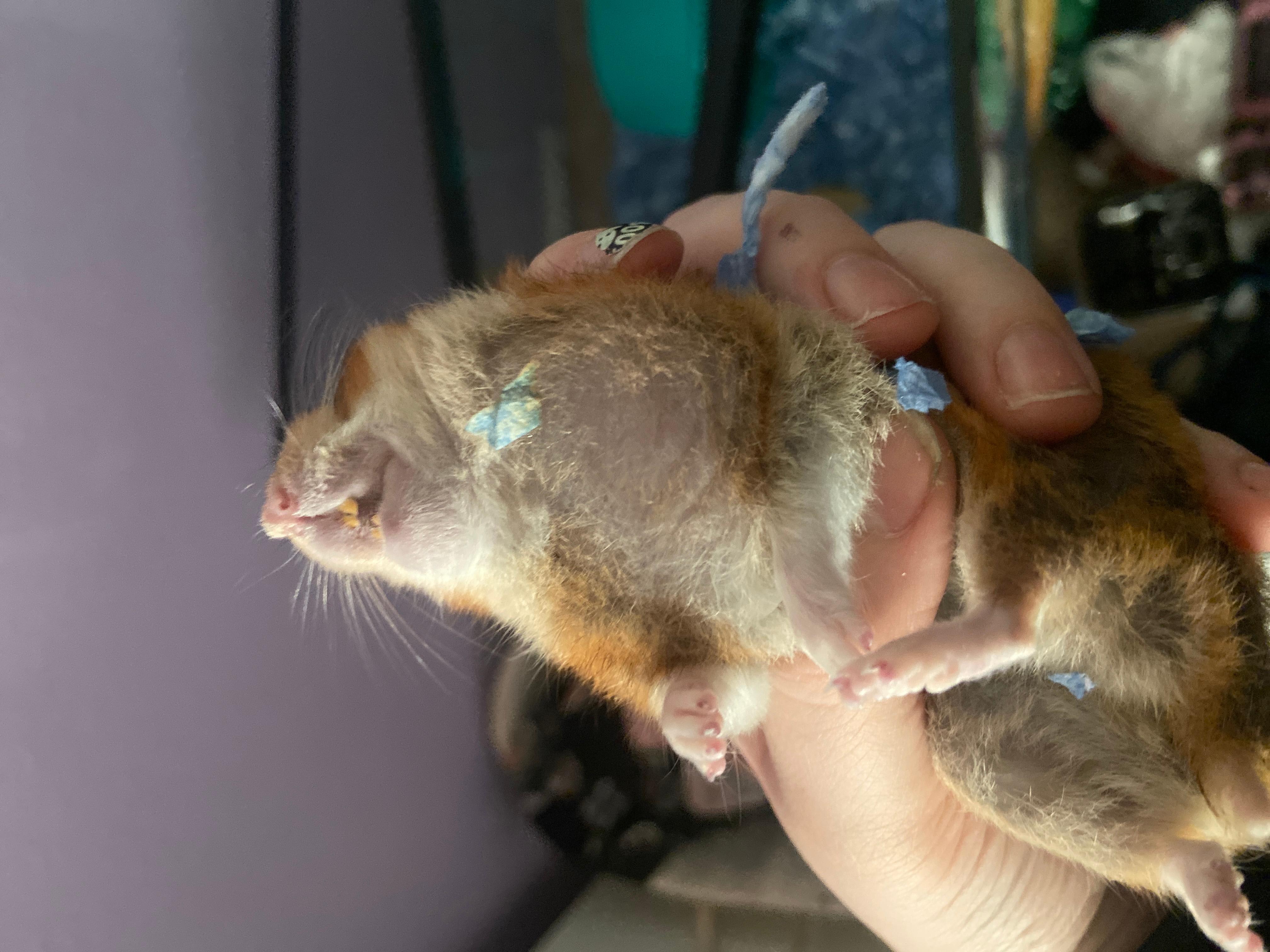 Question details sensitive content