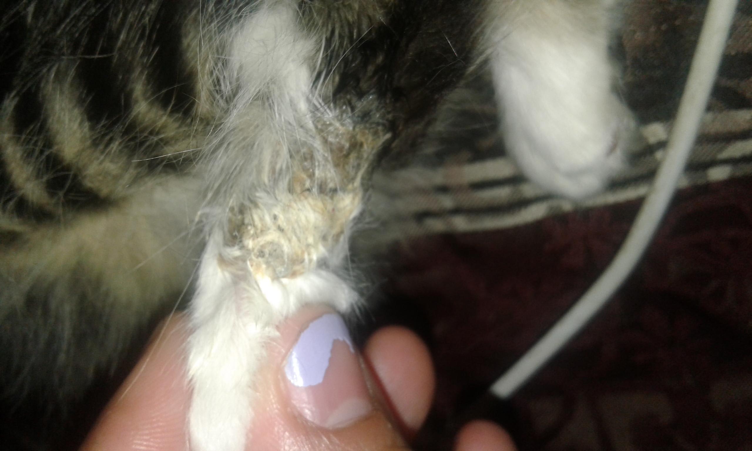 Question details sensitive content