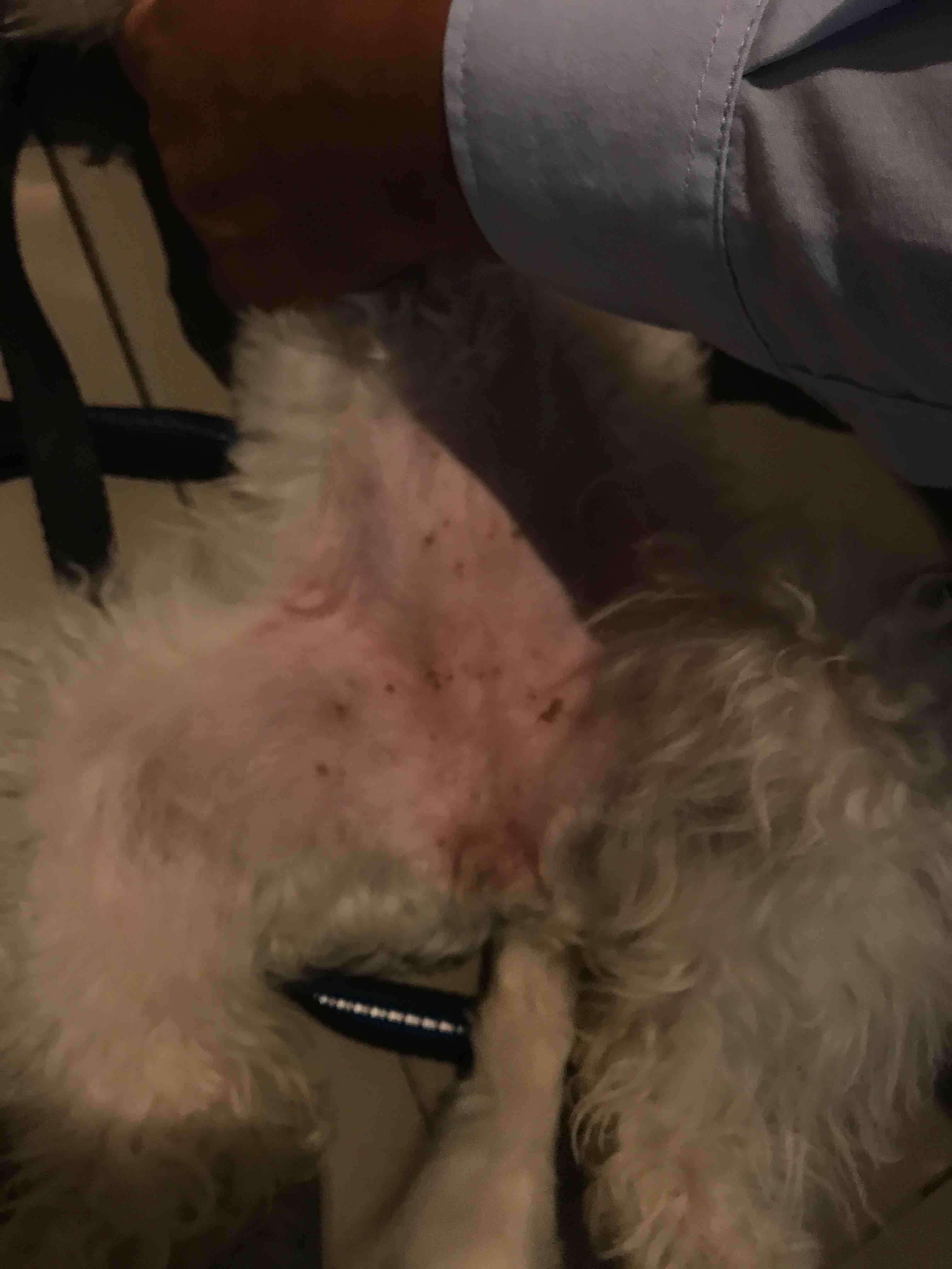 Question details sensitive content