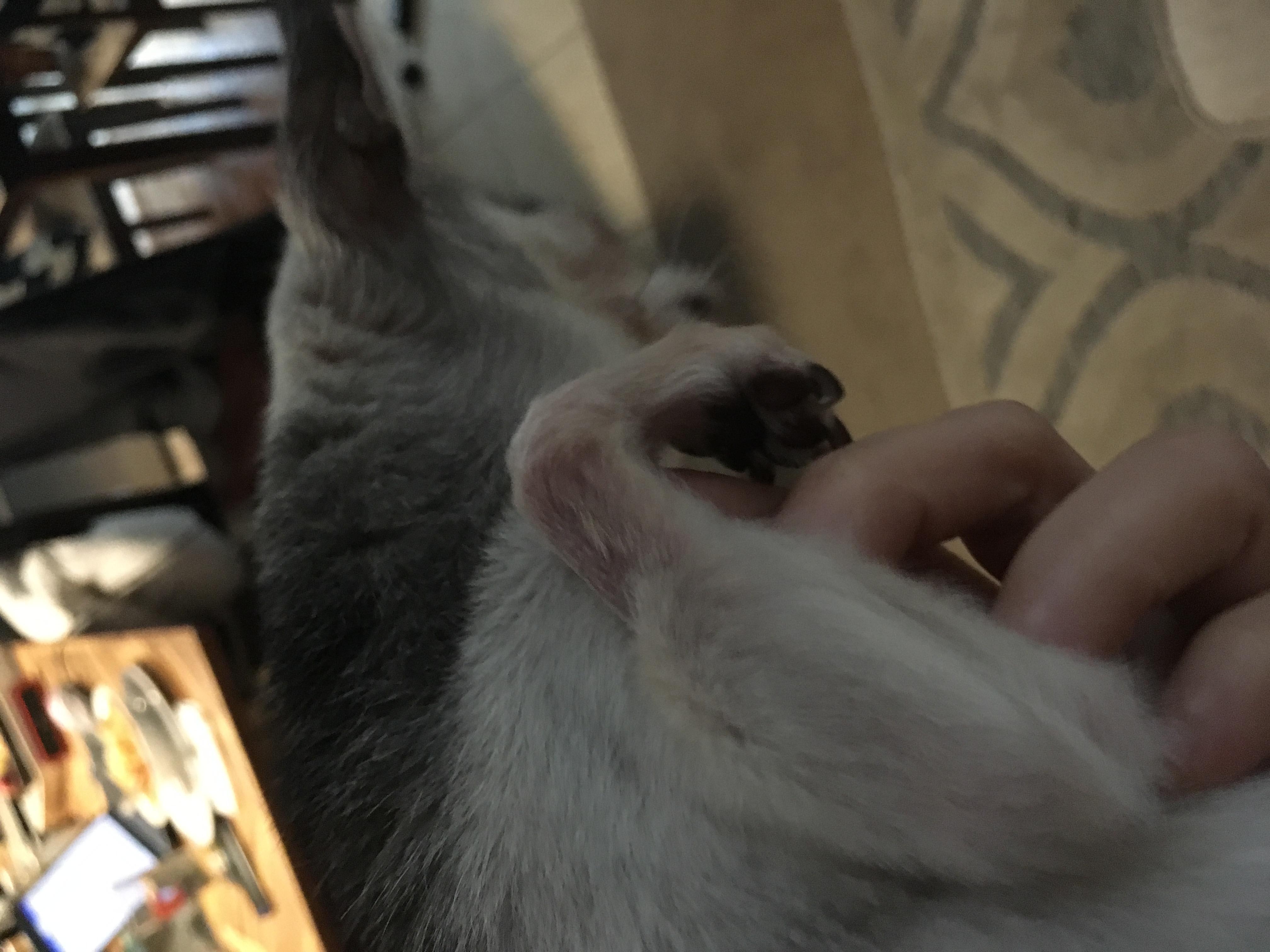 Question details sensitive content