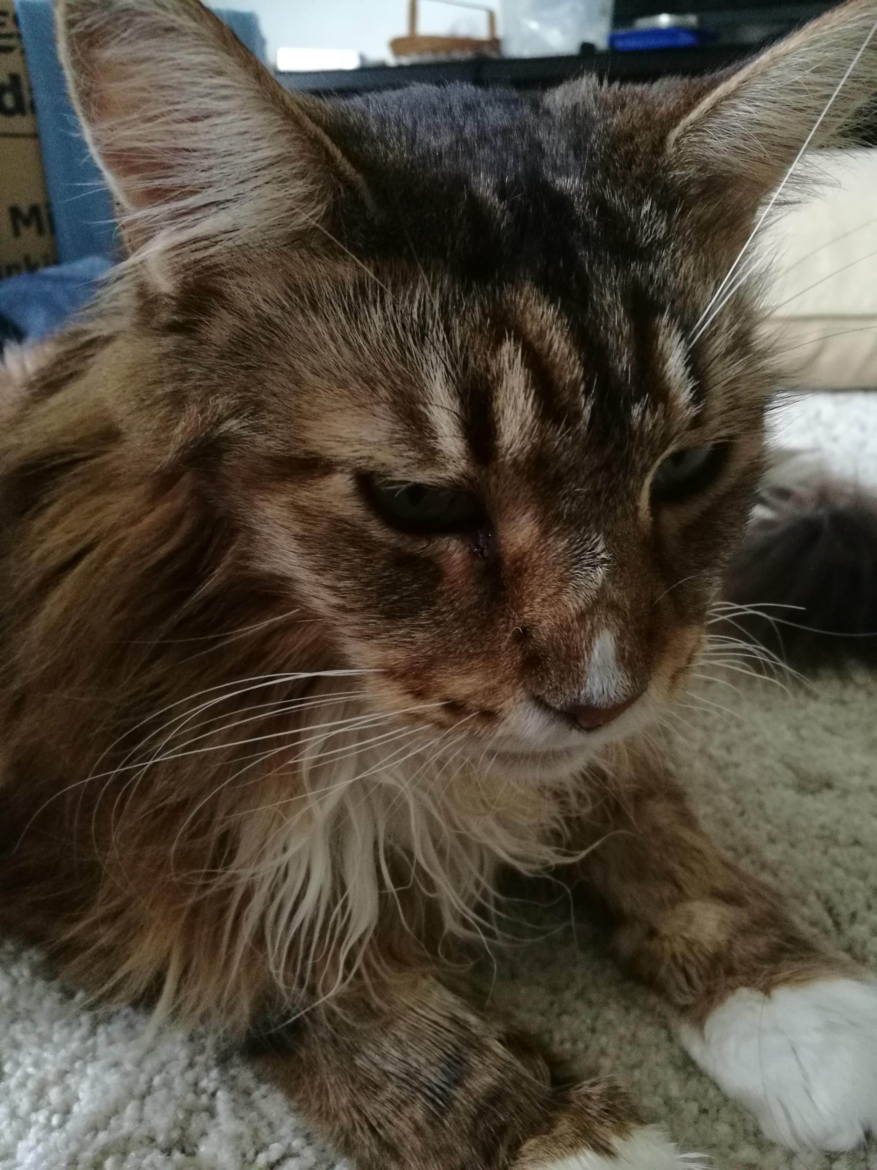 Question details sensitive content