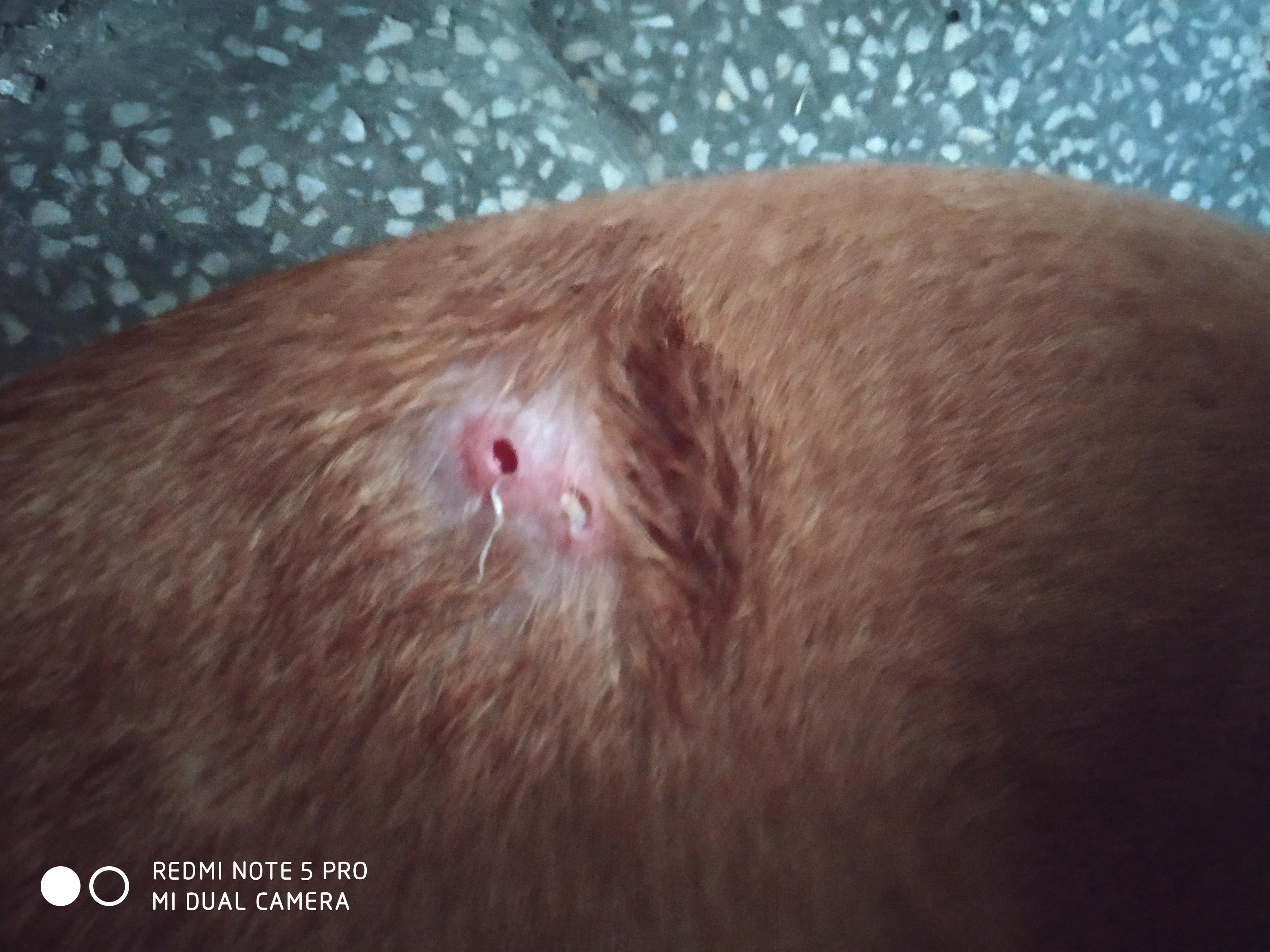 Question details sensitive content