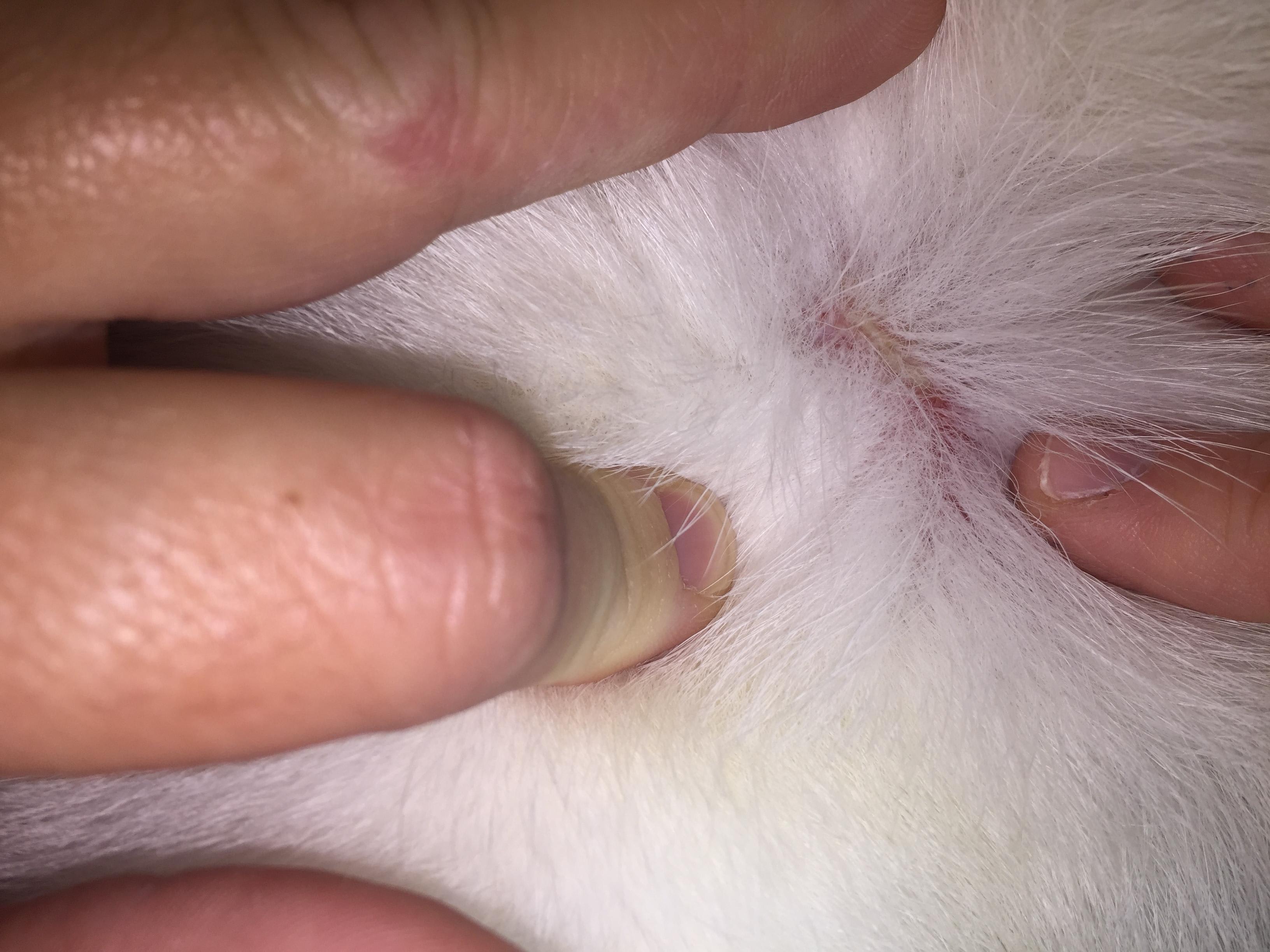 Question details sensitive content