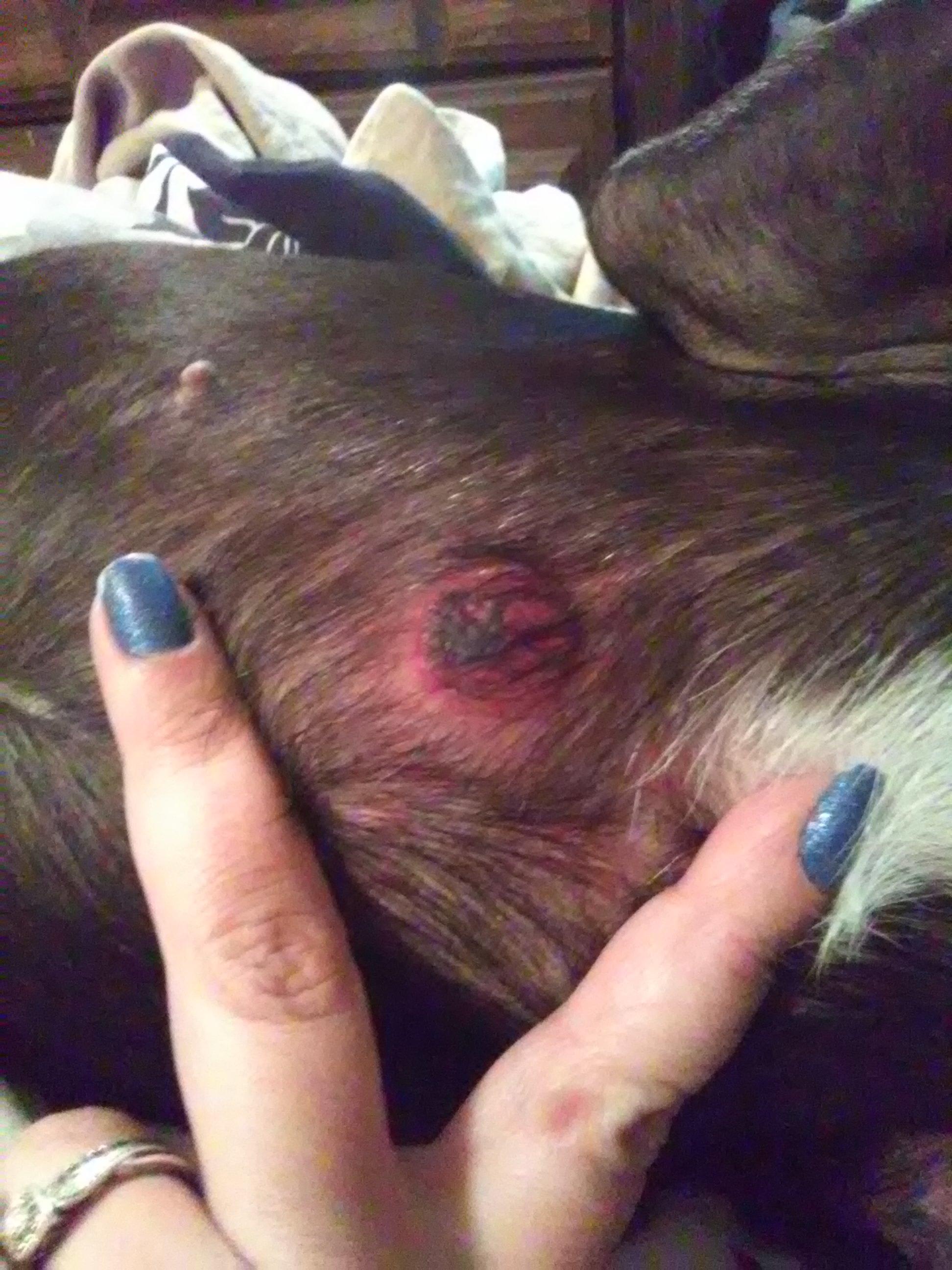 Question details sensitive content