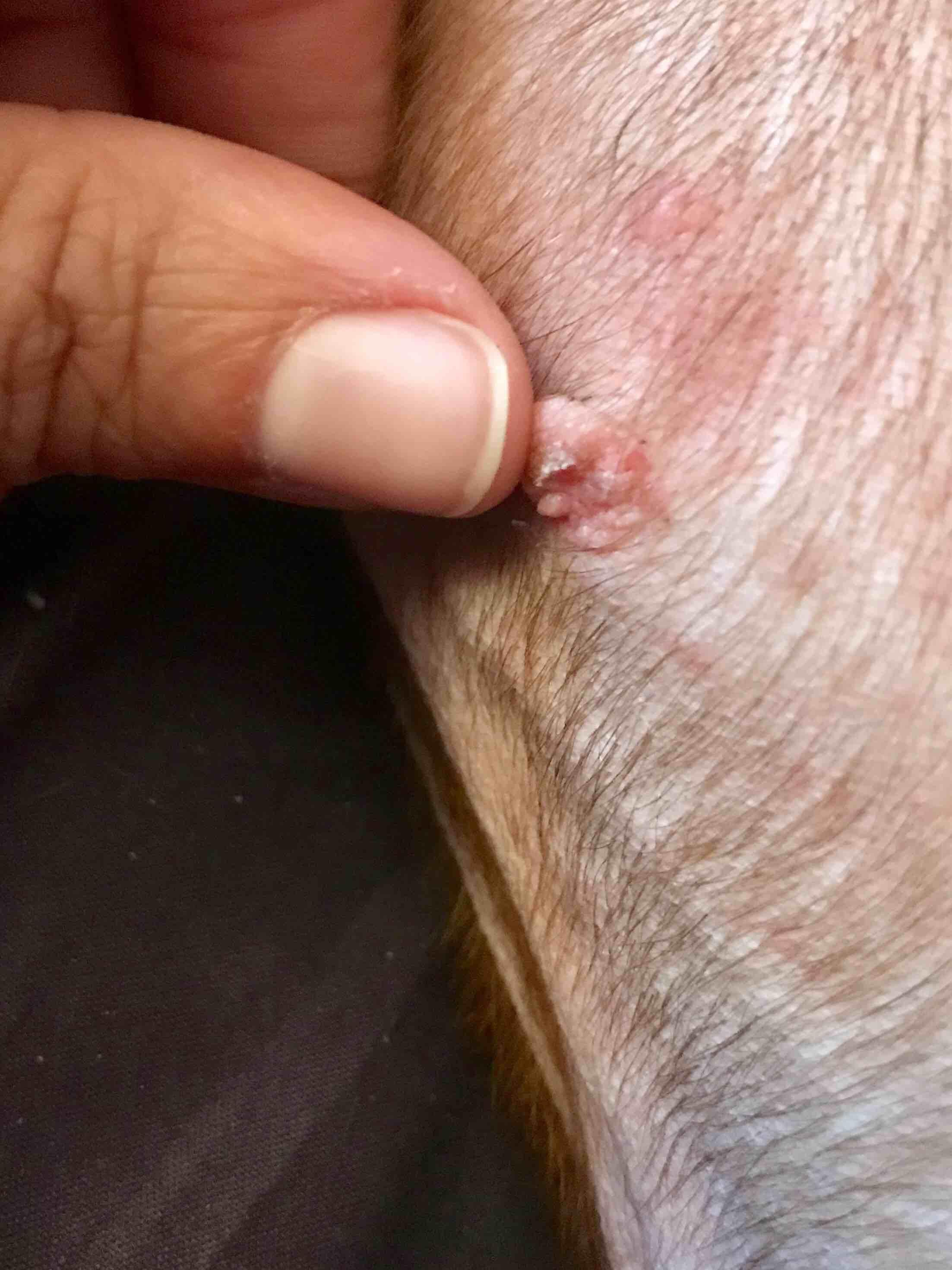 Question details sensitive content