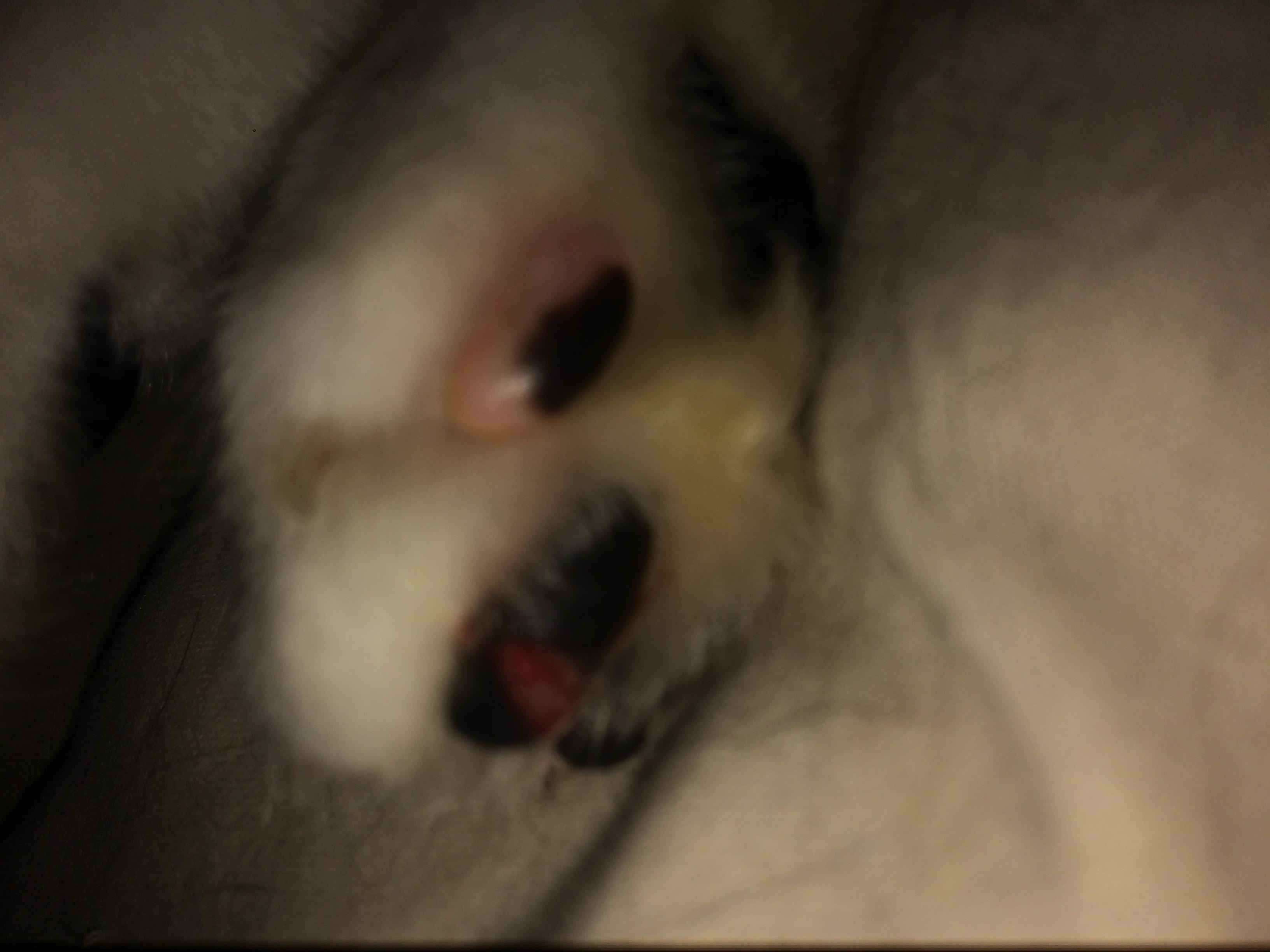 Question details sensitive content