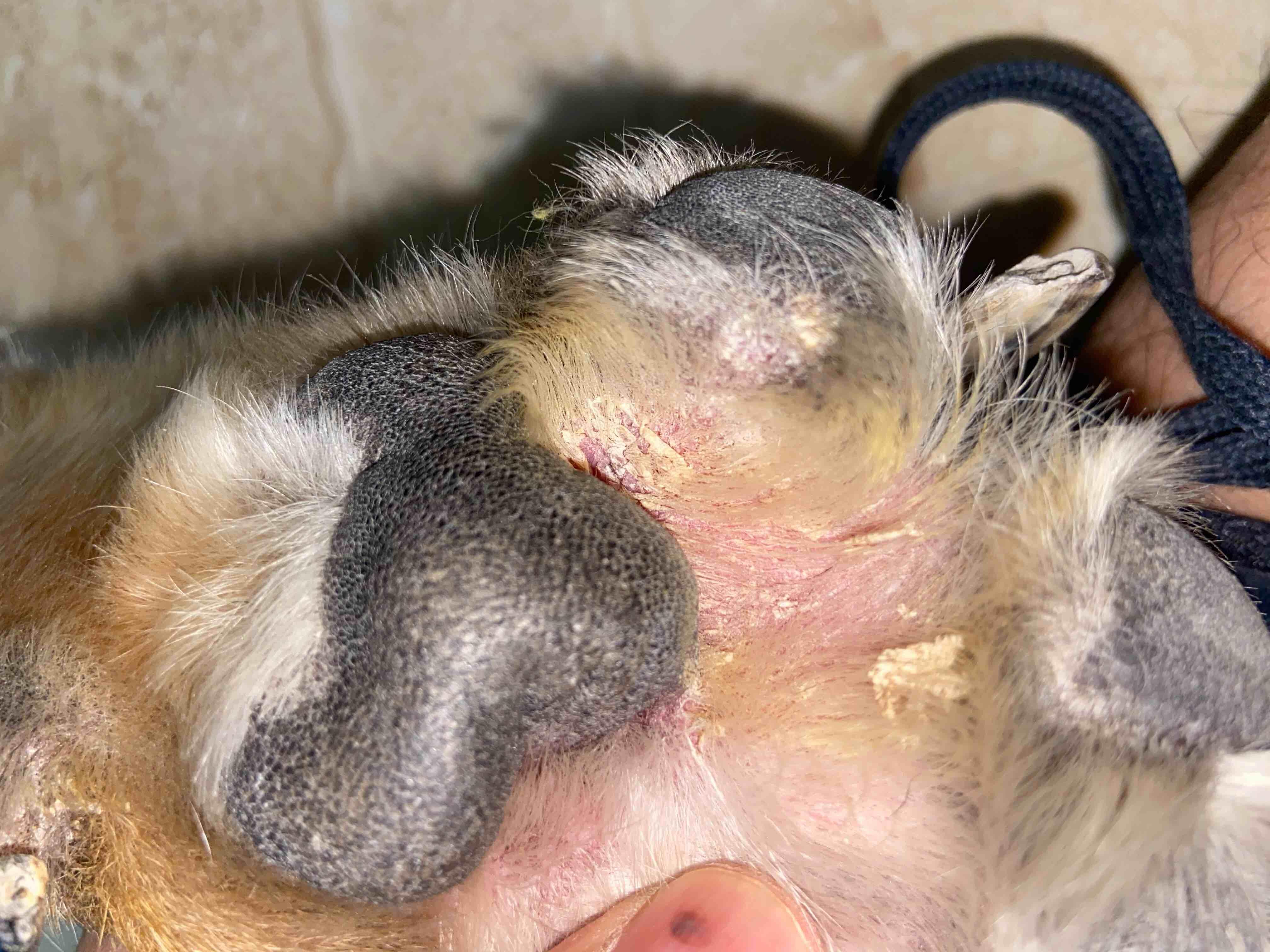 Question details sensitive content