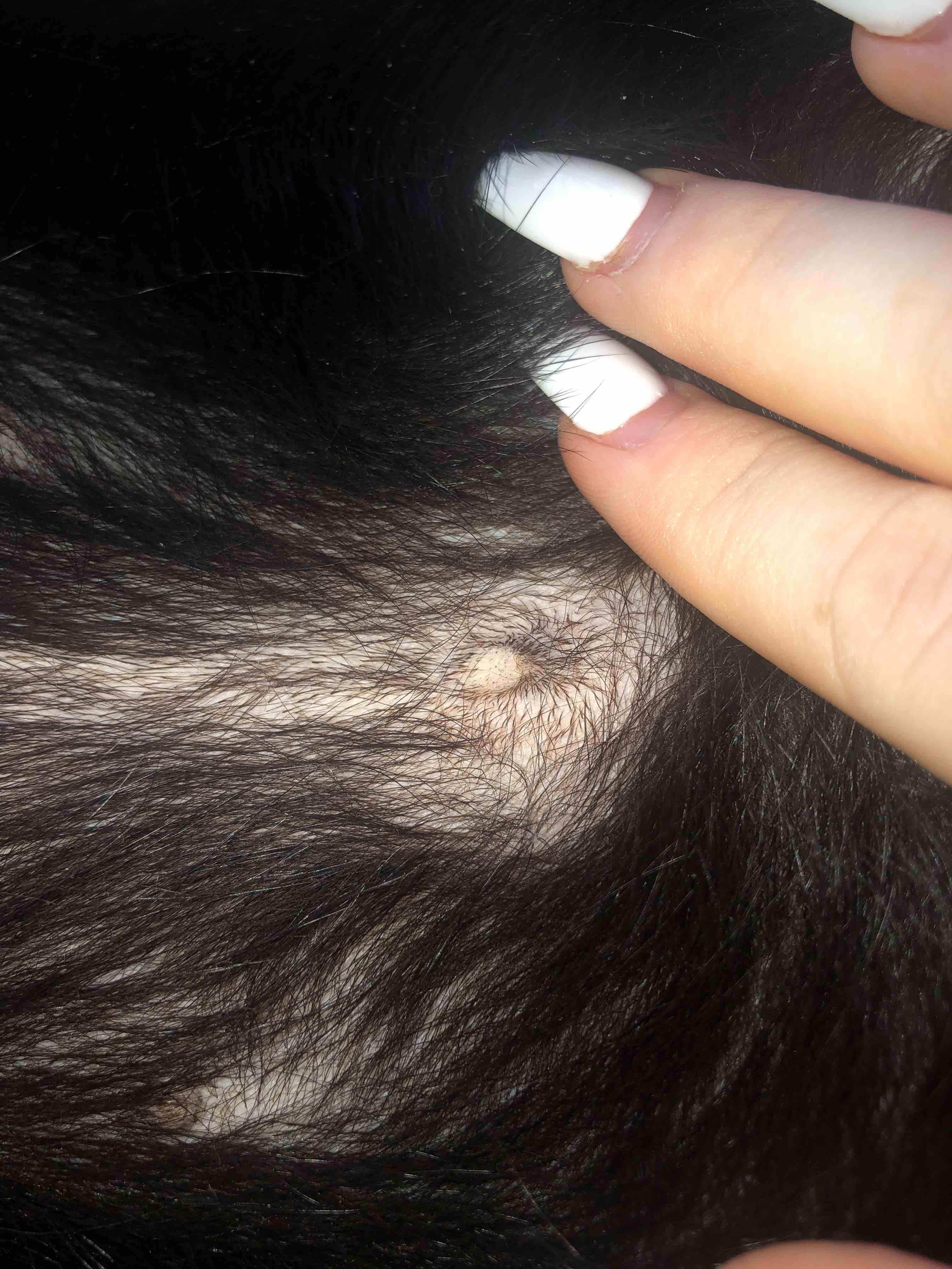 Question details sensitive content