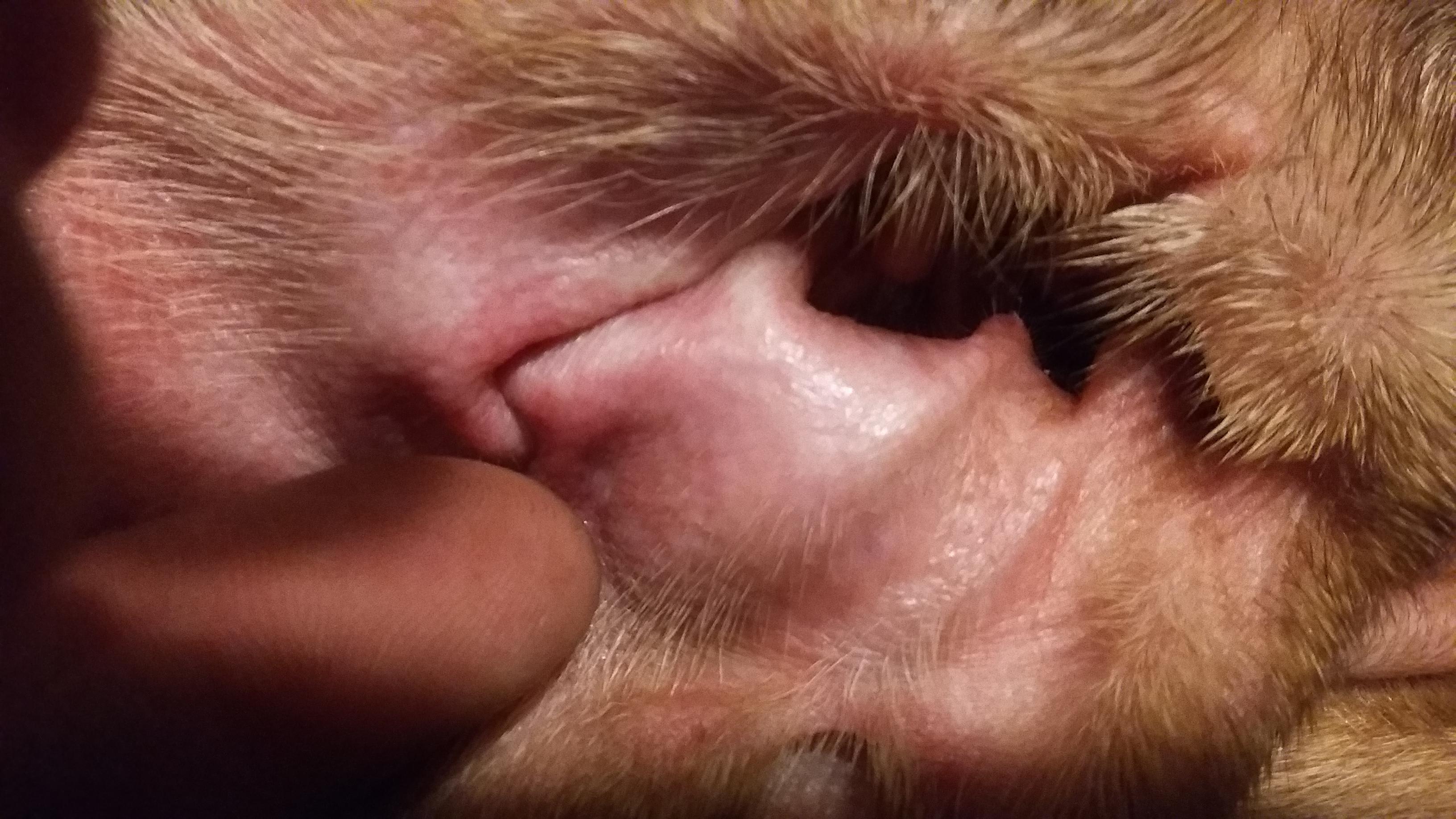 Question details sensitive content