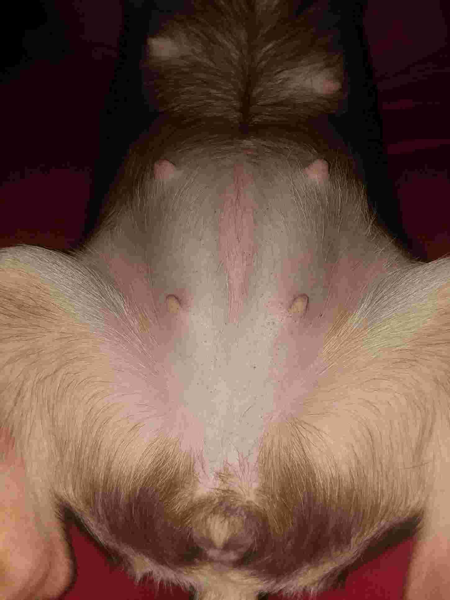 Question details sensitive content