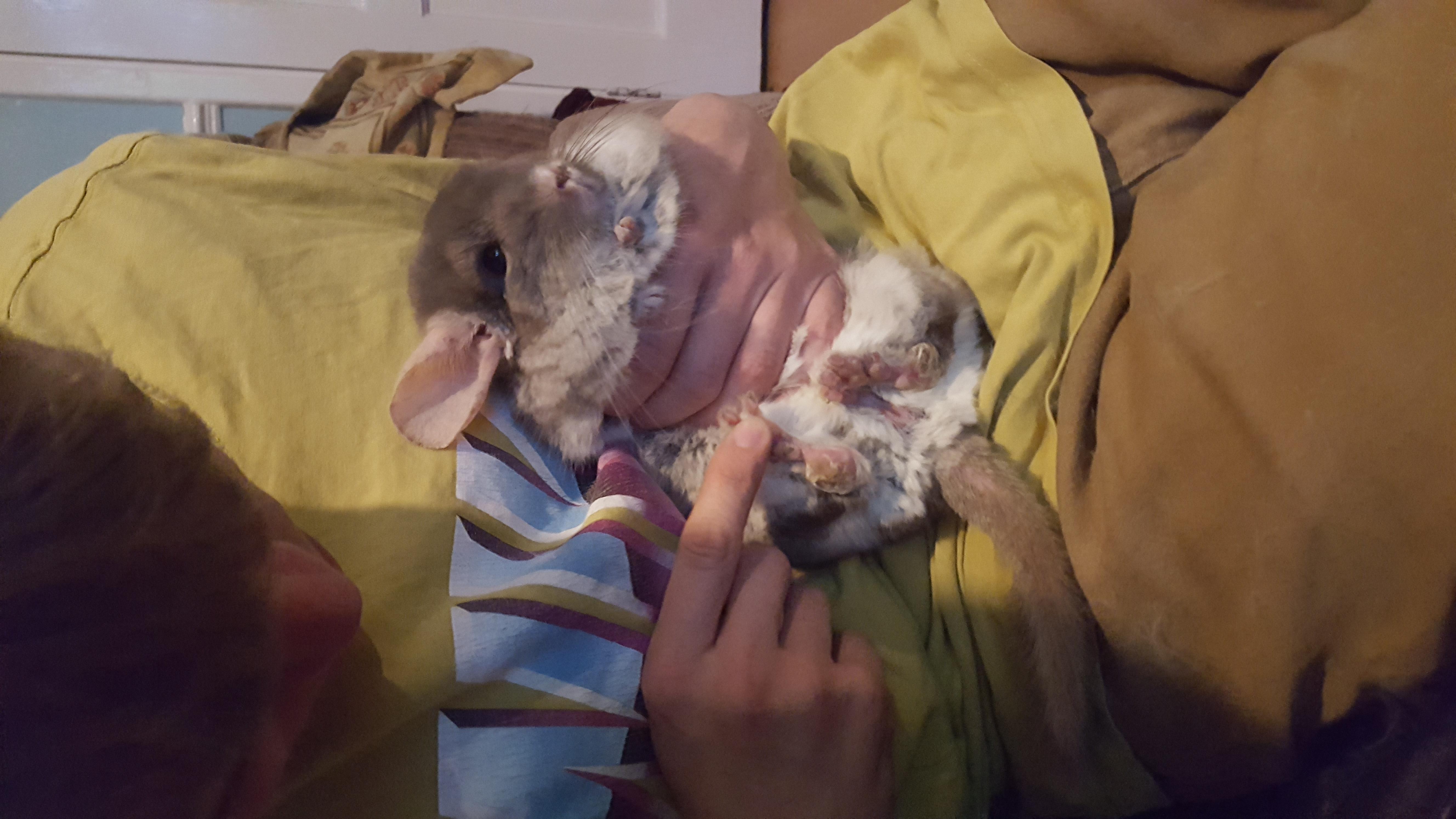 Question details sensitive content