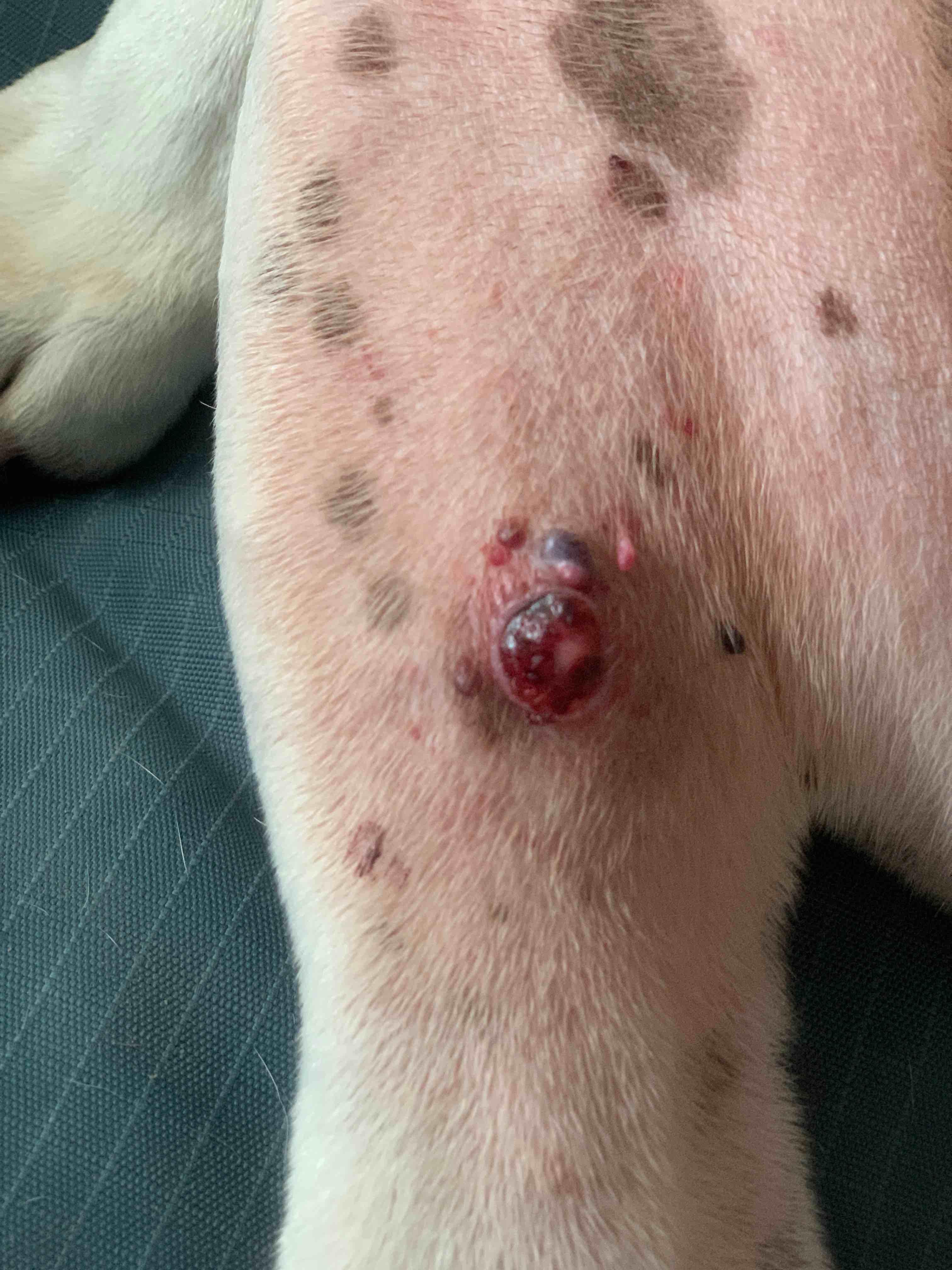 Question details sensitive content