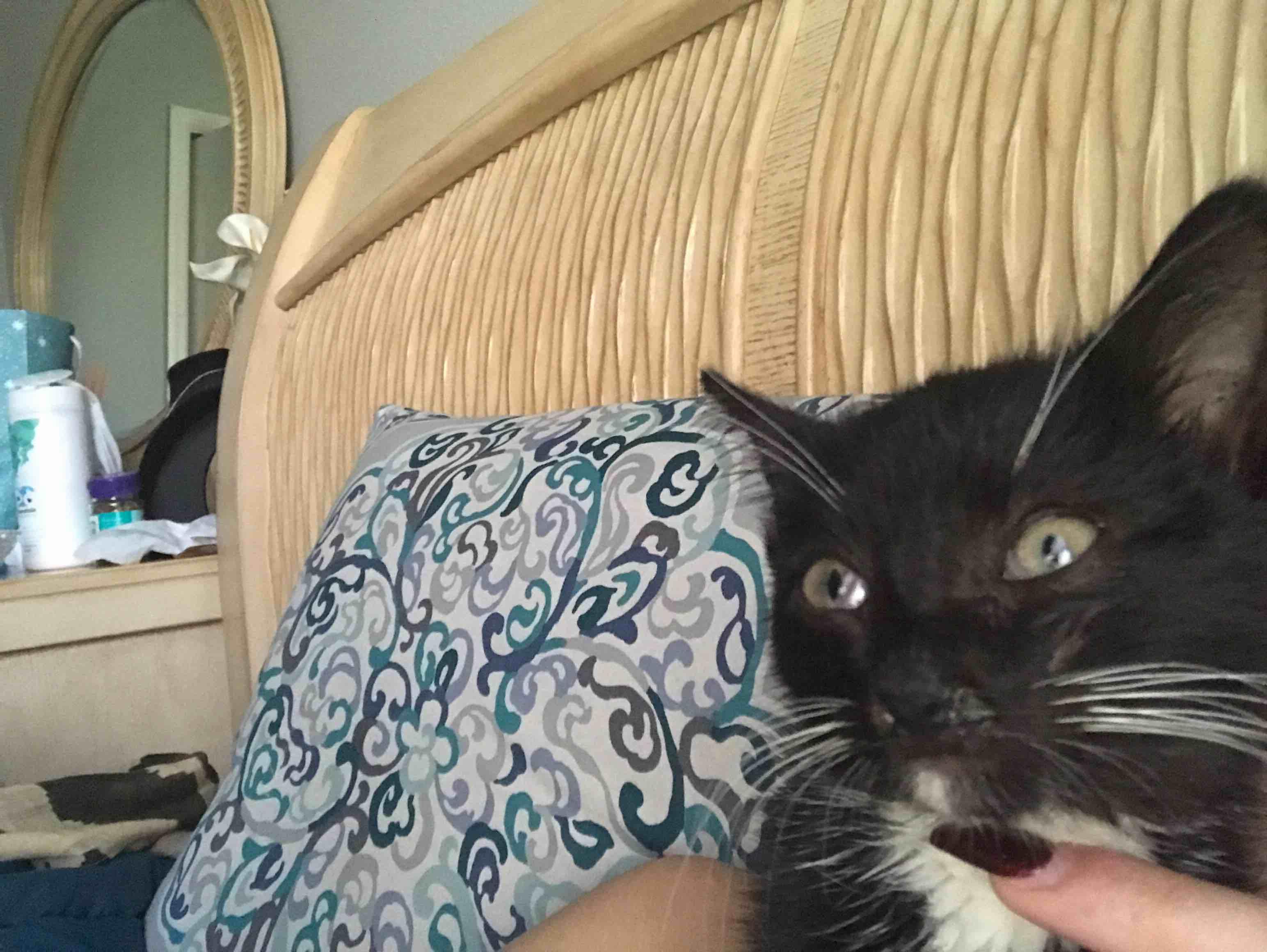 Question details sensitive content