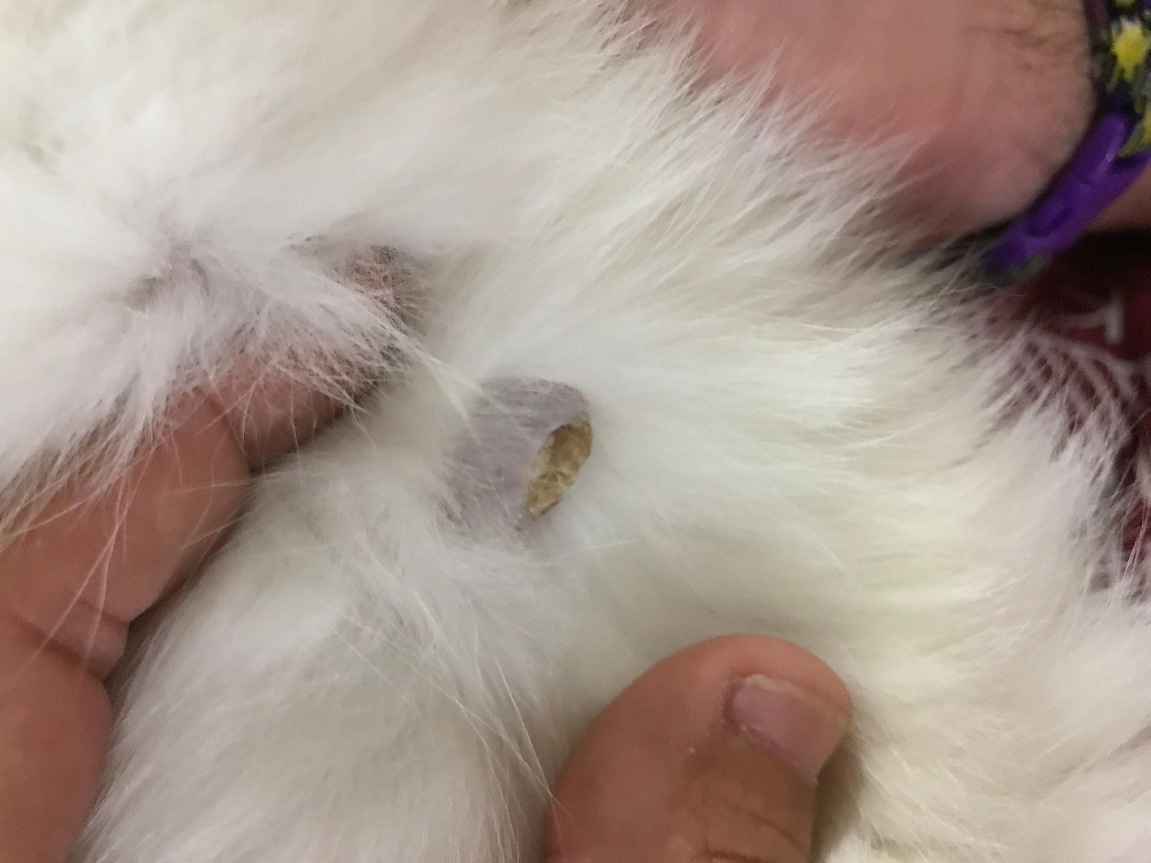 Question details sensitive content