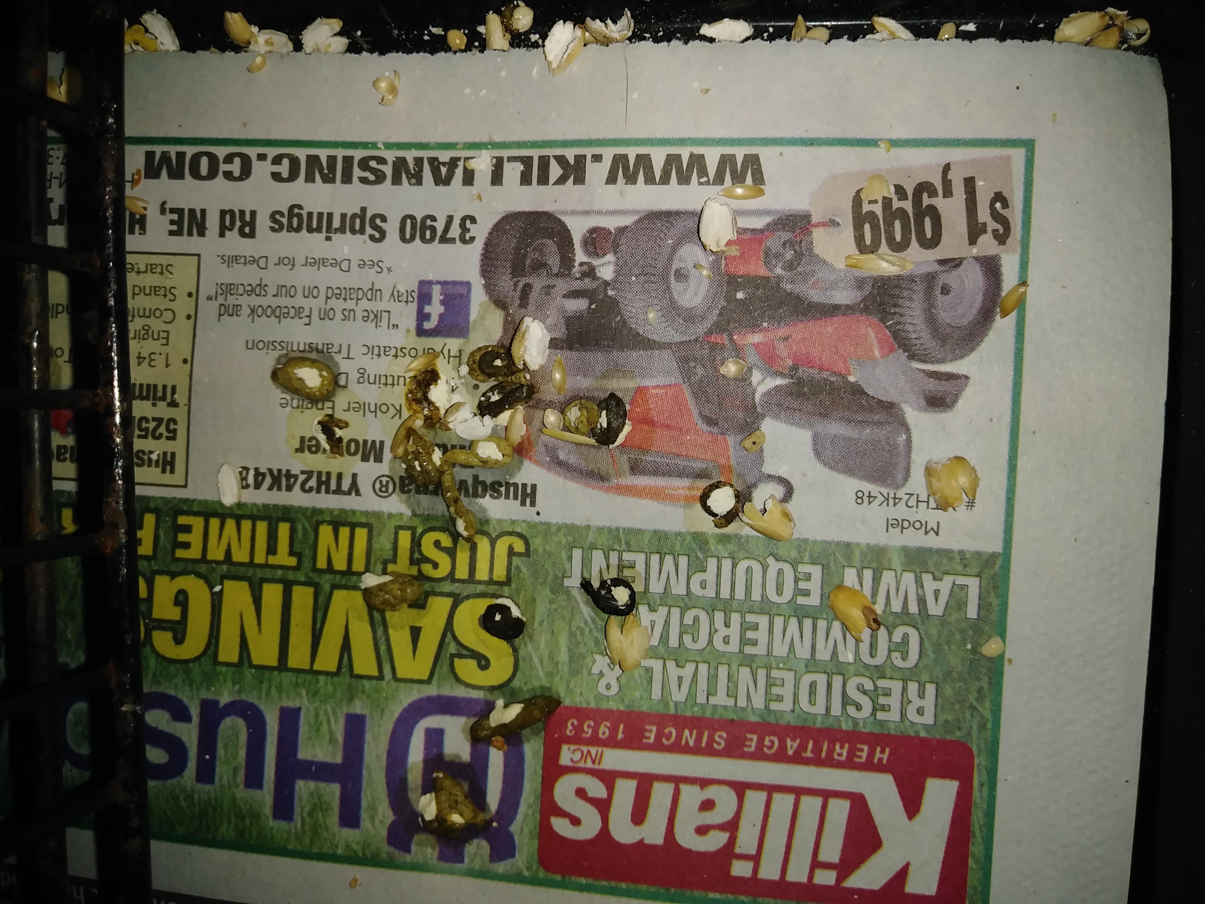 Question details sensitive content