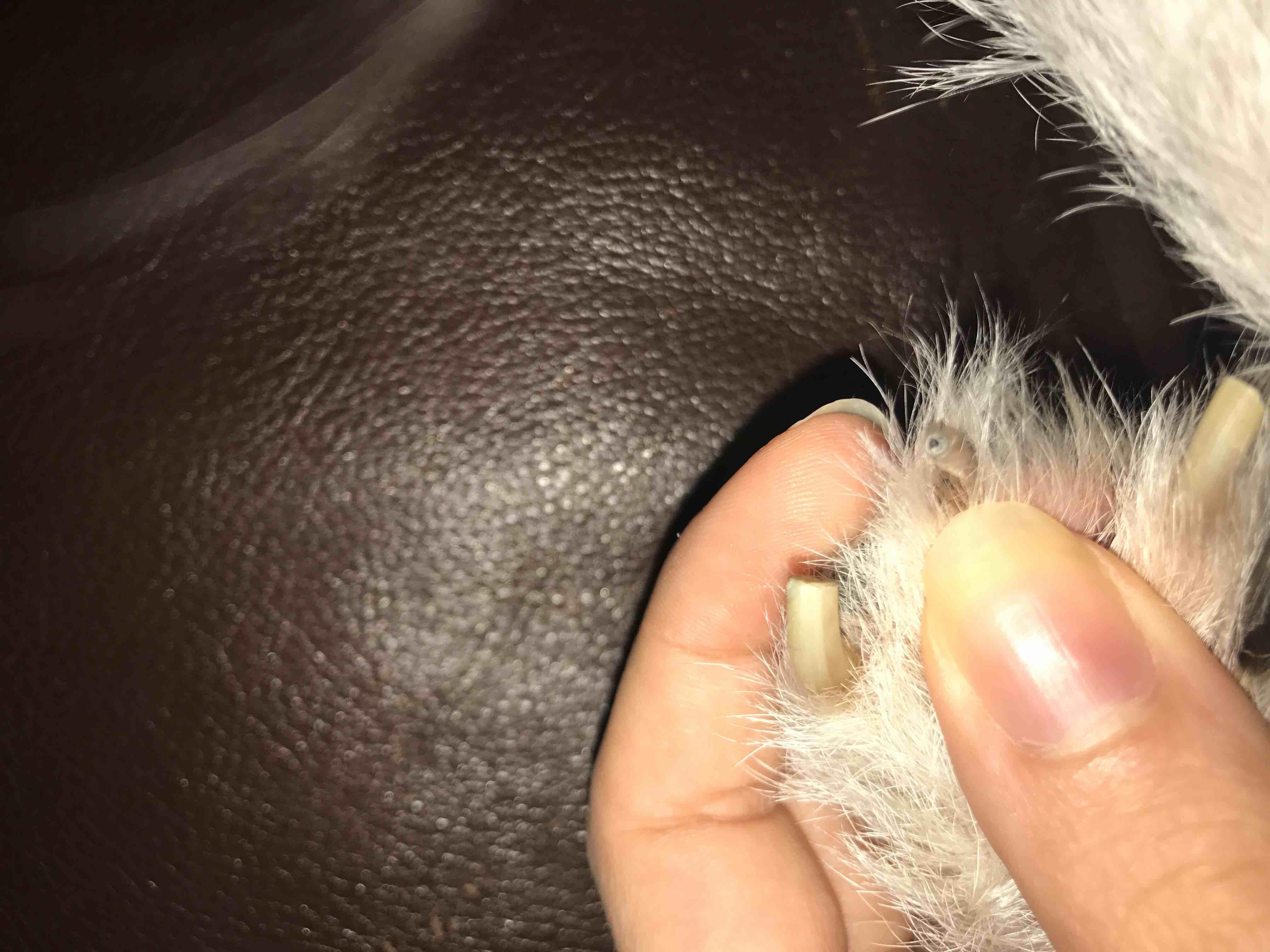 Question details sensitive content