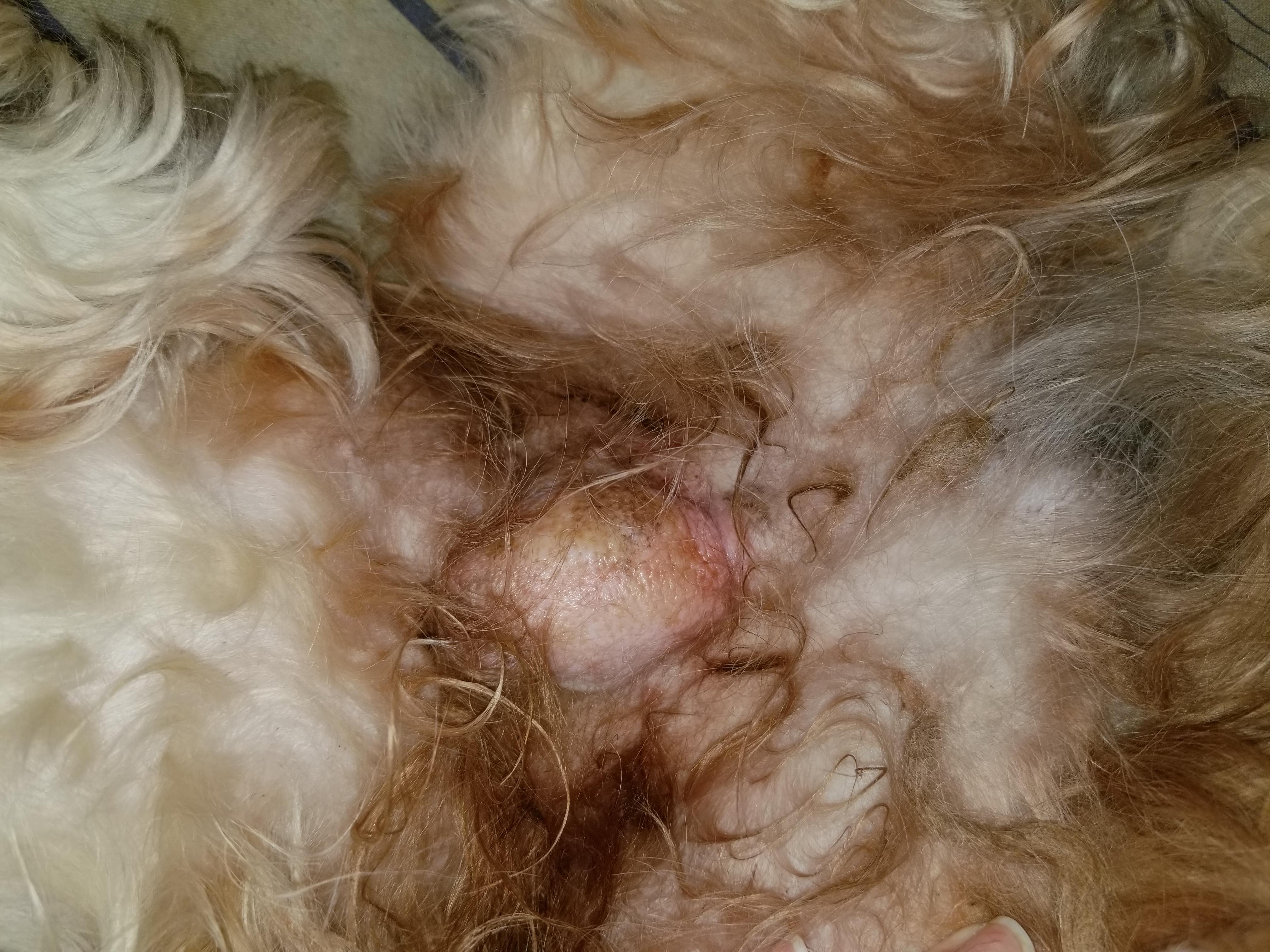 Question details sensitive content